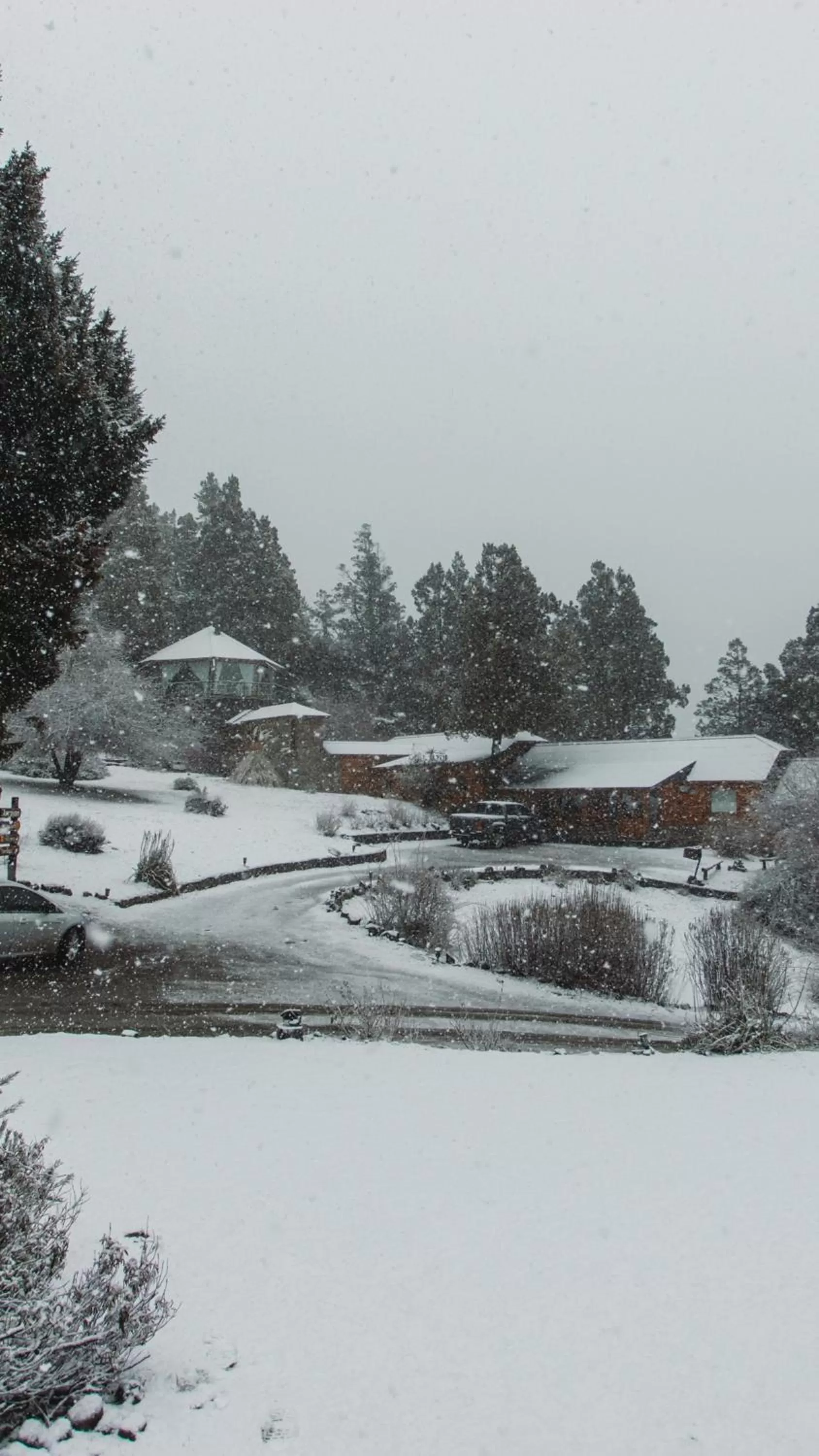 Natural landscape in Arrayan Lake View Mountain Lodge & Casa De Te Arrayan