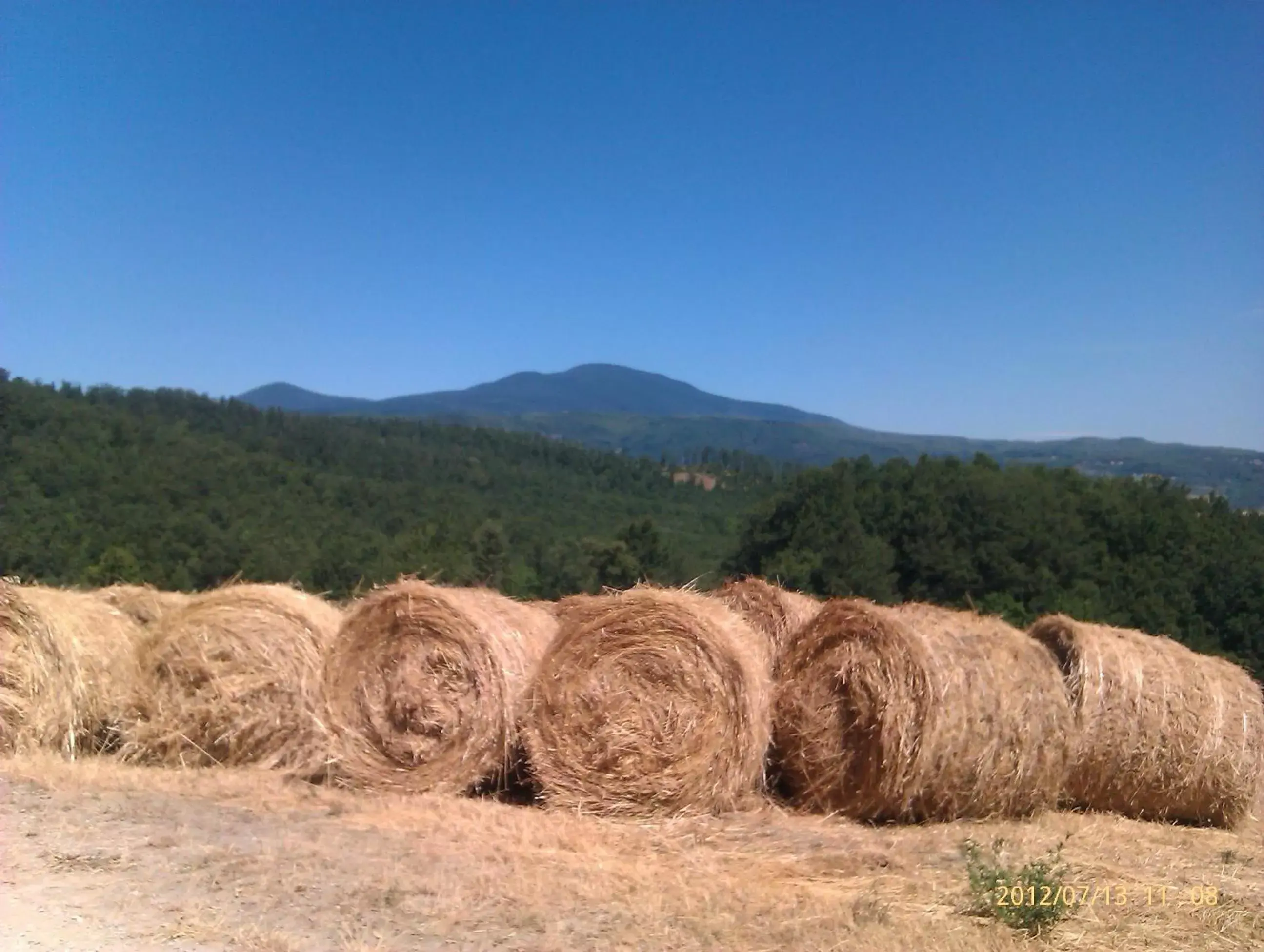 Horse-riding, Natural Landscape in 1000 Miglia