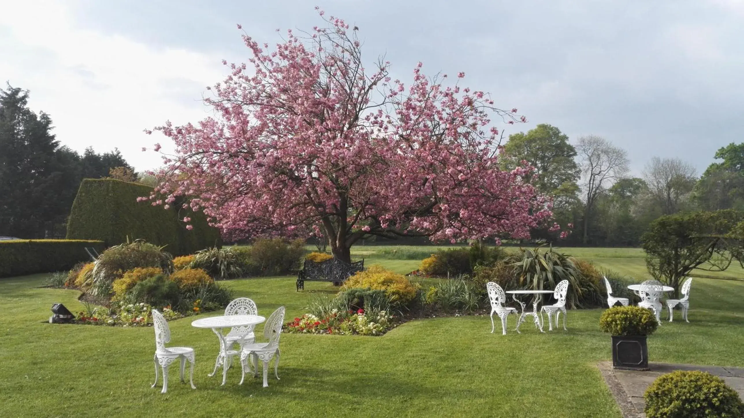 Other, Garden in Grovefield House Hotel