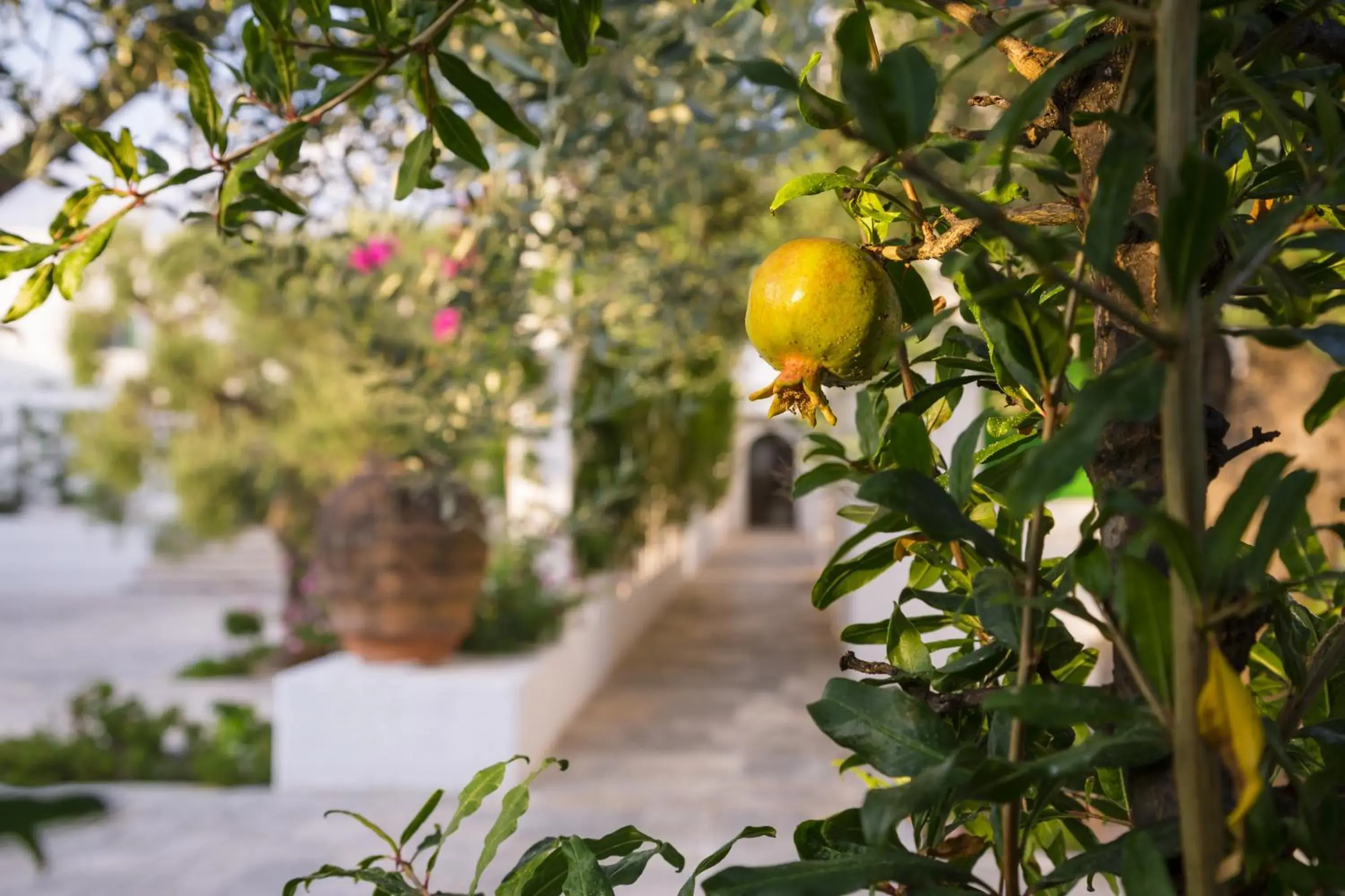 Decorative detail in Hotel Il Melograno