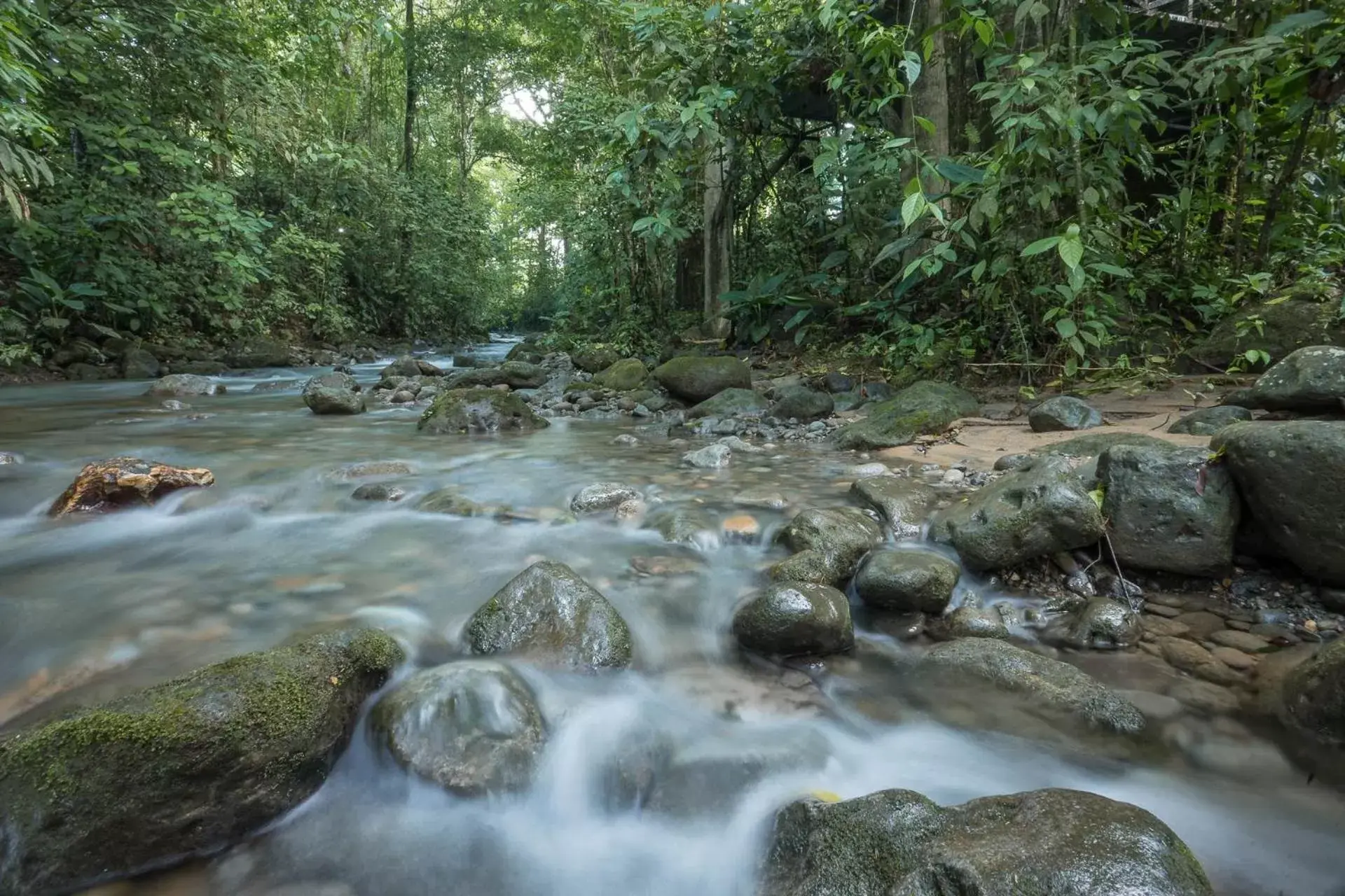 Natural landscape in Cabañas del Rio