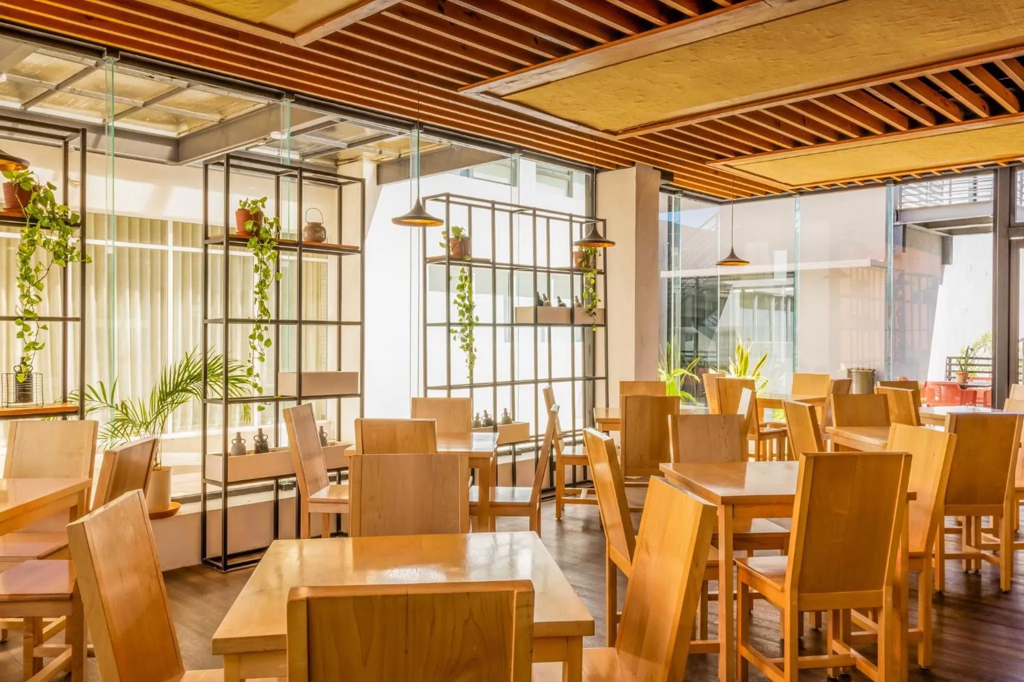 Restaurant/places to eat in Wyndham Garden Cancun Downtown