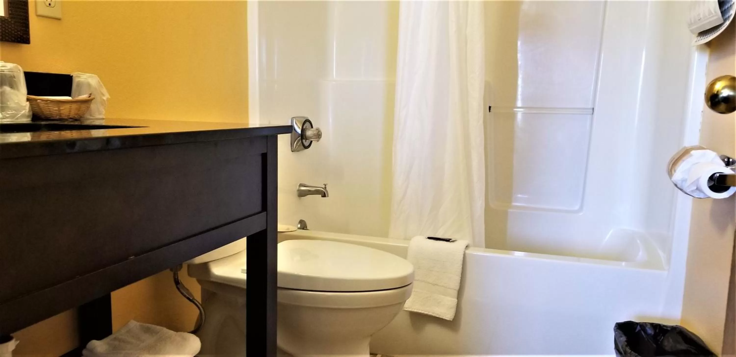 Shower in The Royal Victorian Motel