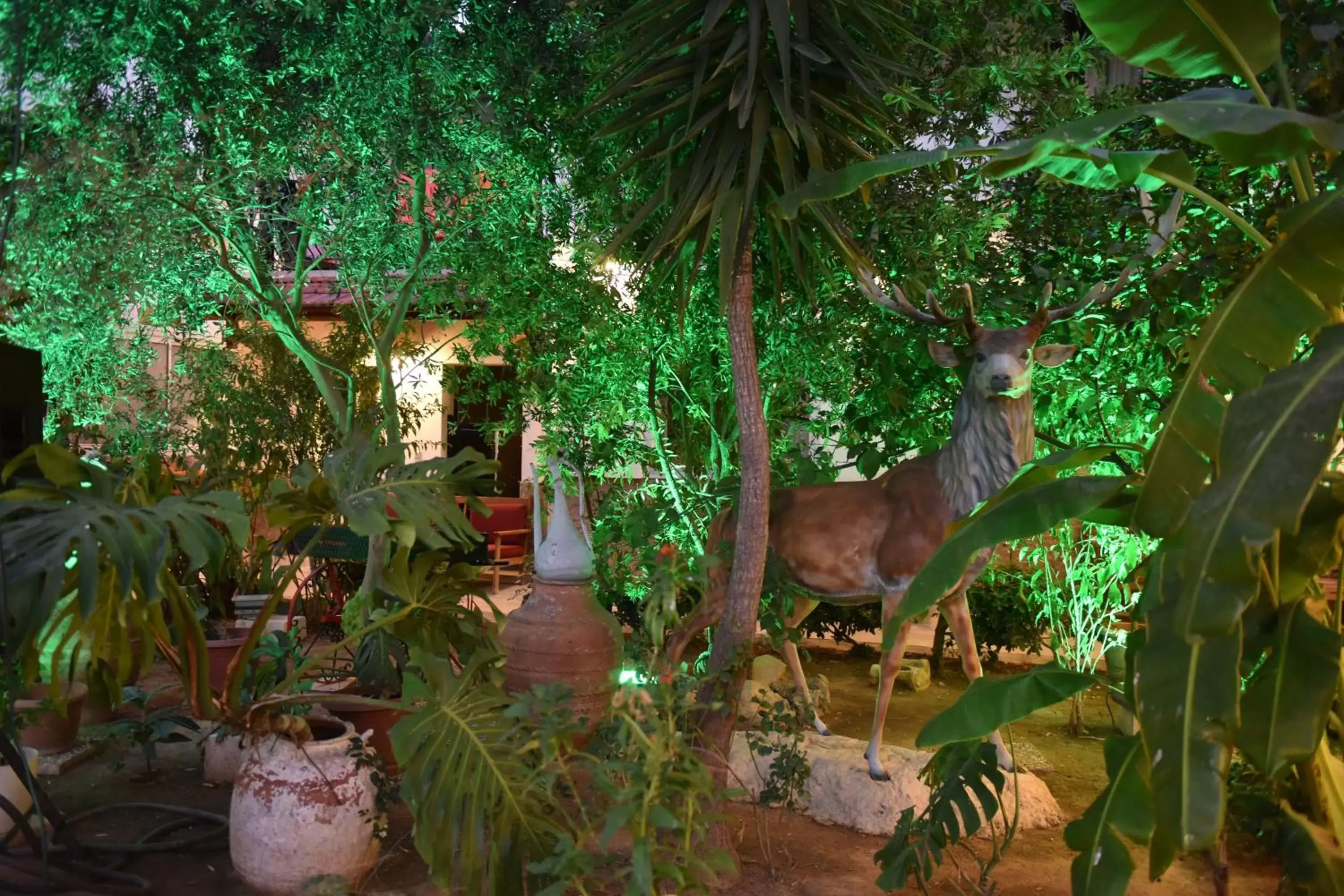 Garden view in Istankoy Hotel Garden view in Istankoy Hotel