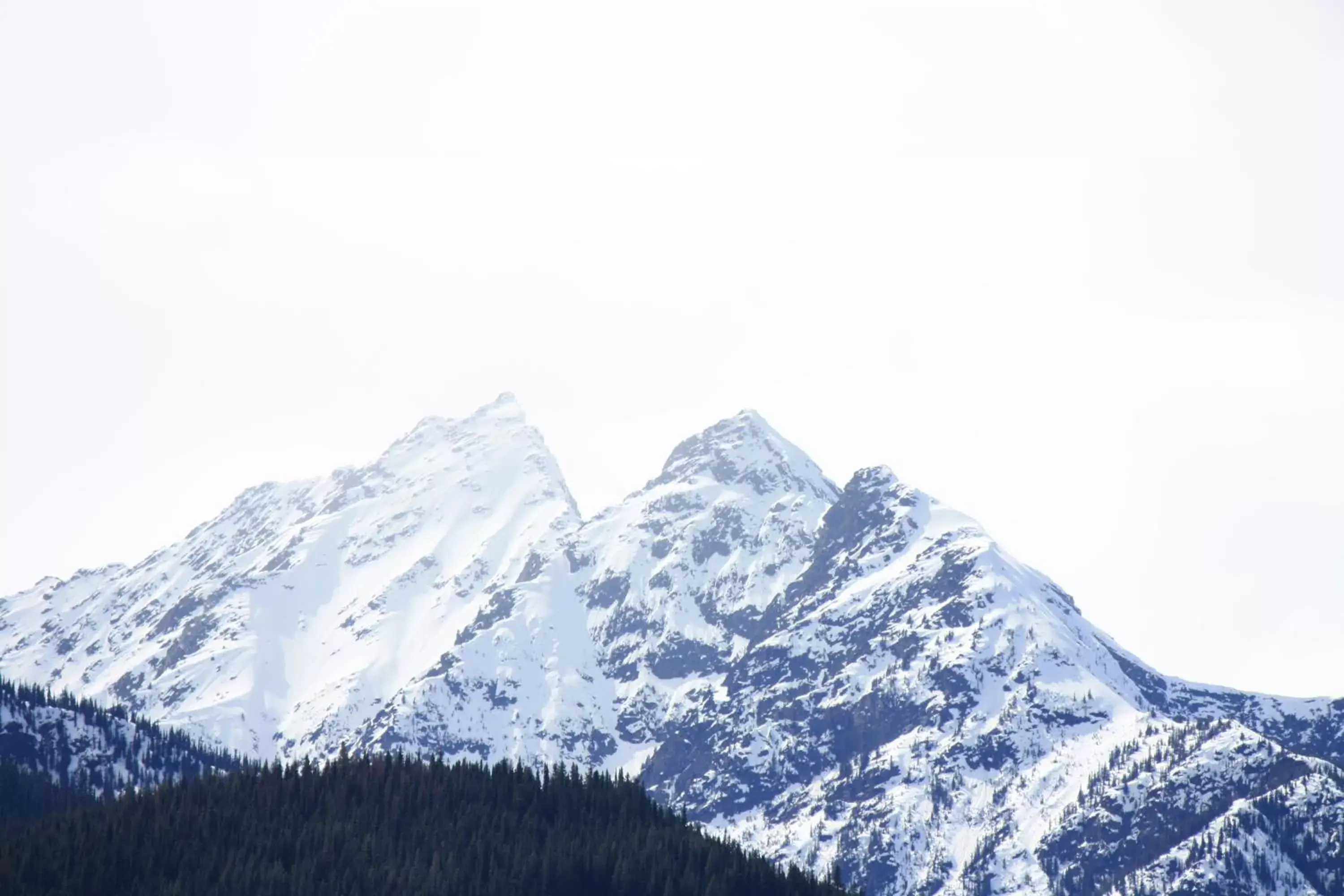 Area and facilities, Winter in Twin Peaks Resort