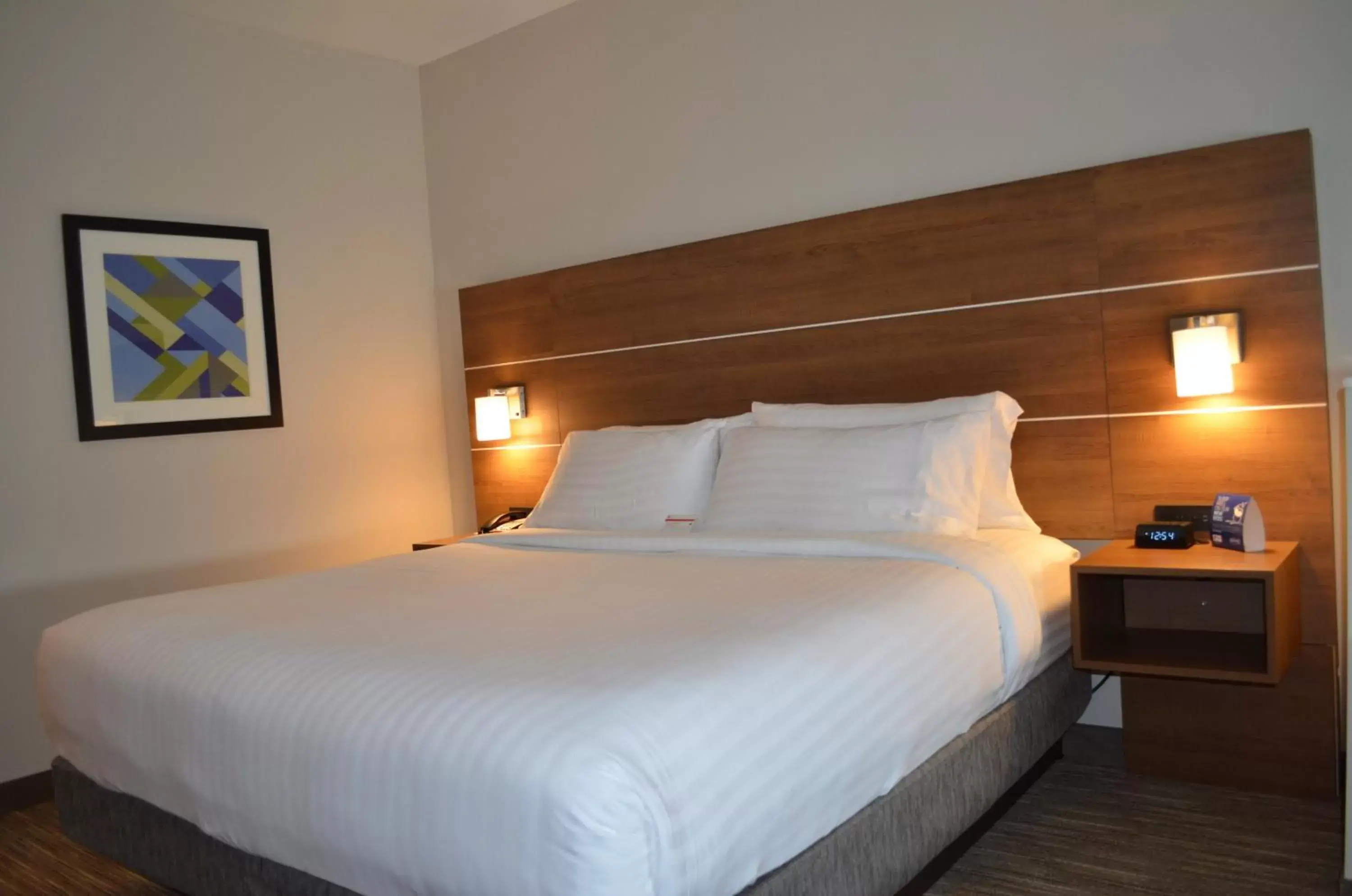 Photo of the whole room, Bed in Holiday Inn Express & Suites - Charlotte NE - University Area, an IHG Hotel