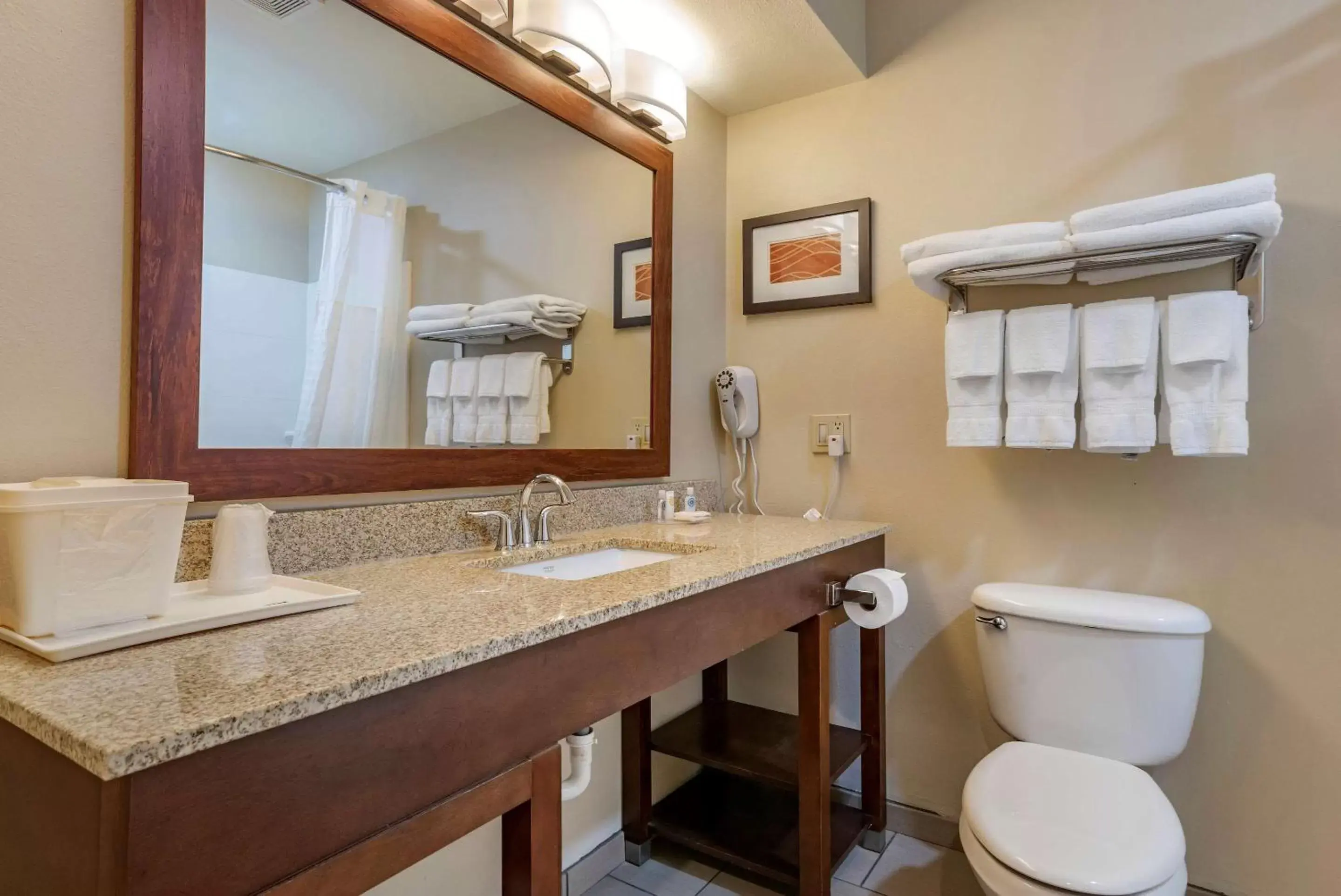 Bathroom in Comfort Inn Amite