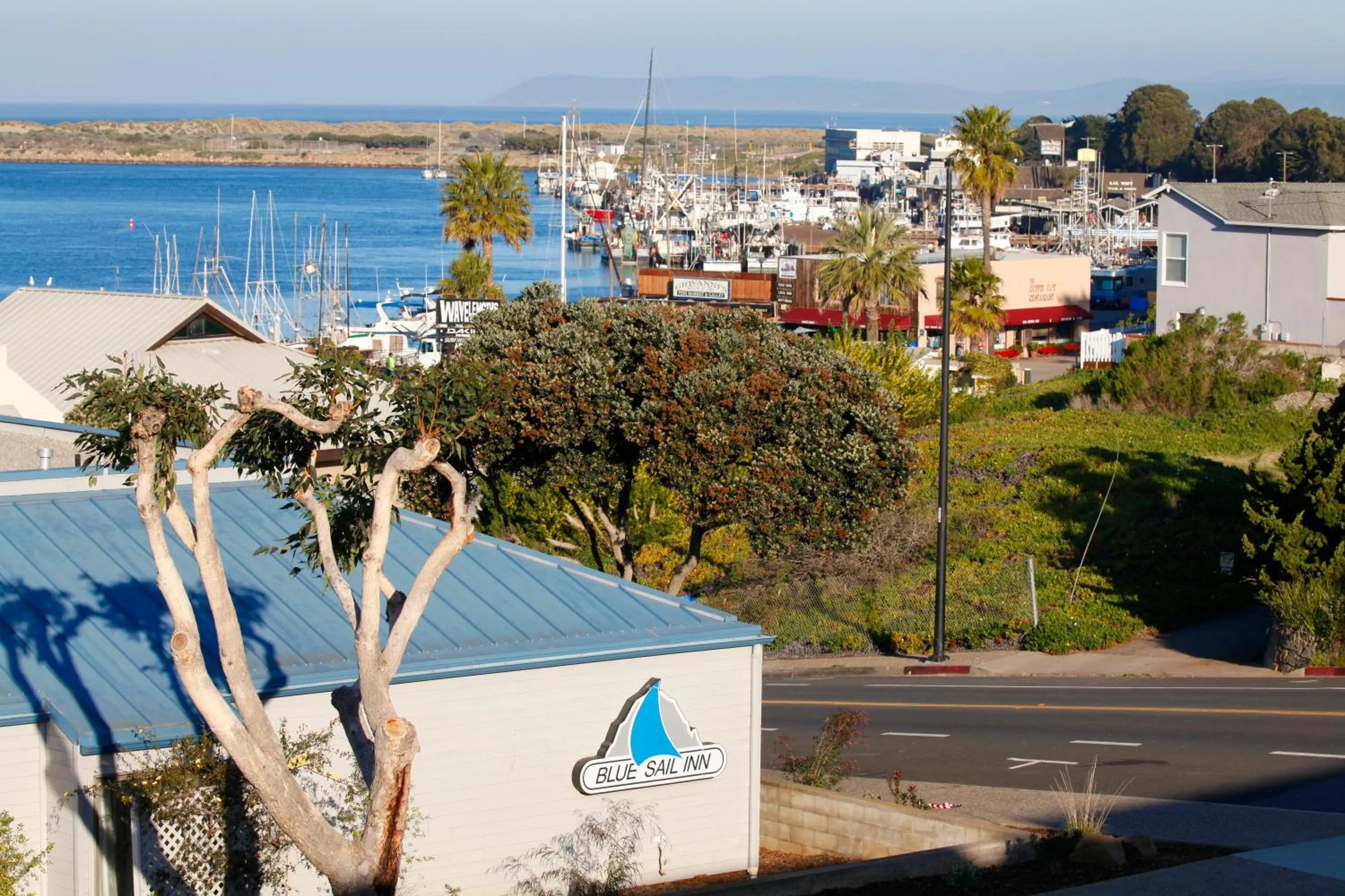 View (from property/room) in Blue Sail Inn