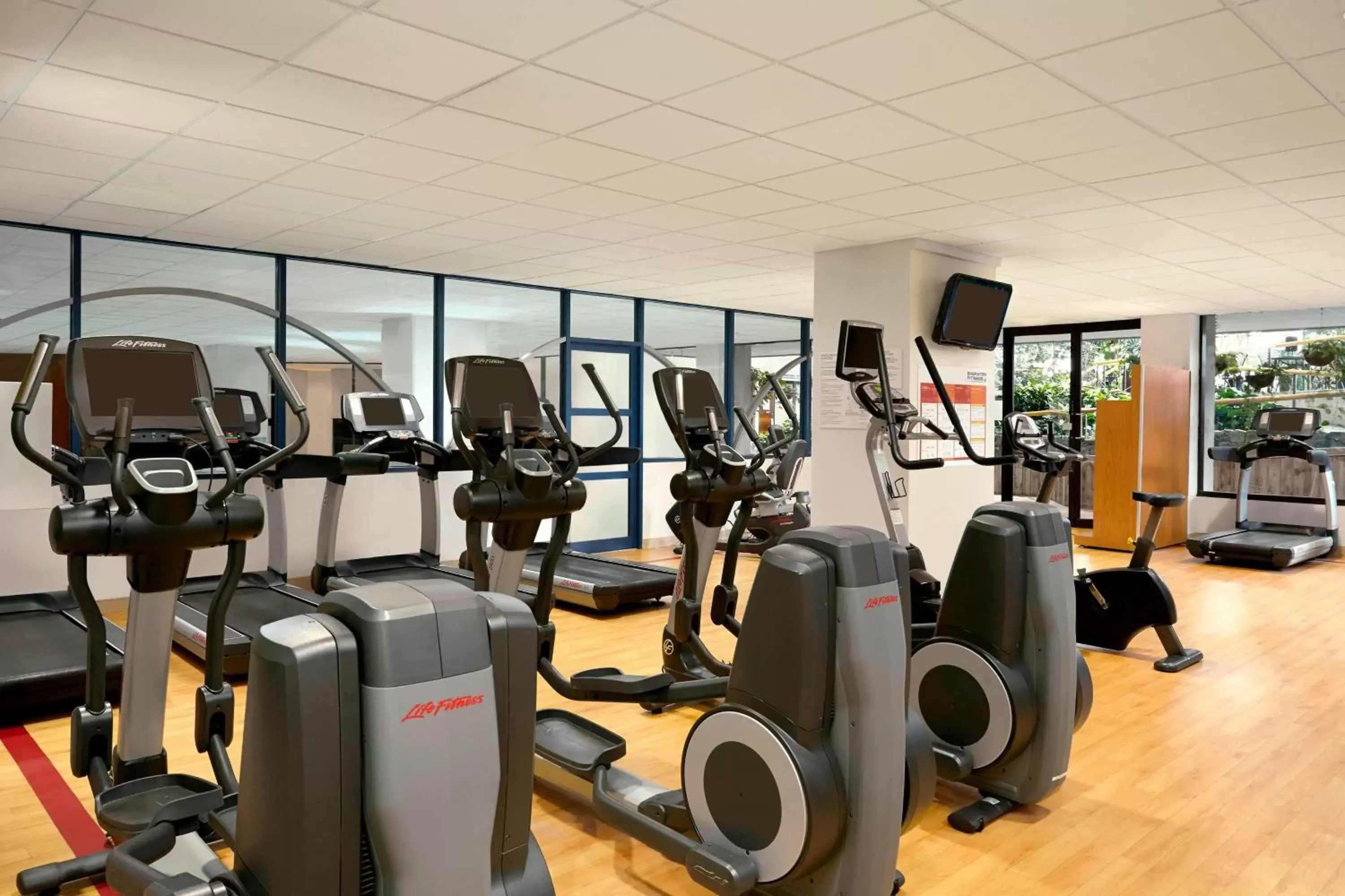Fitness centre/facilities, Fitness Center/Facilities in Sheraton Hotel Newfoundland