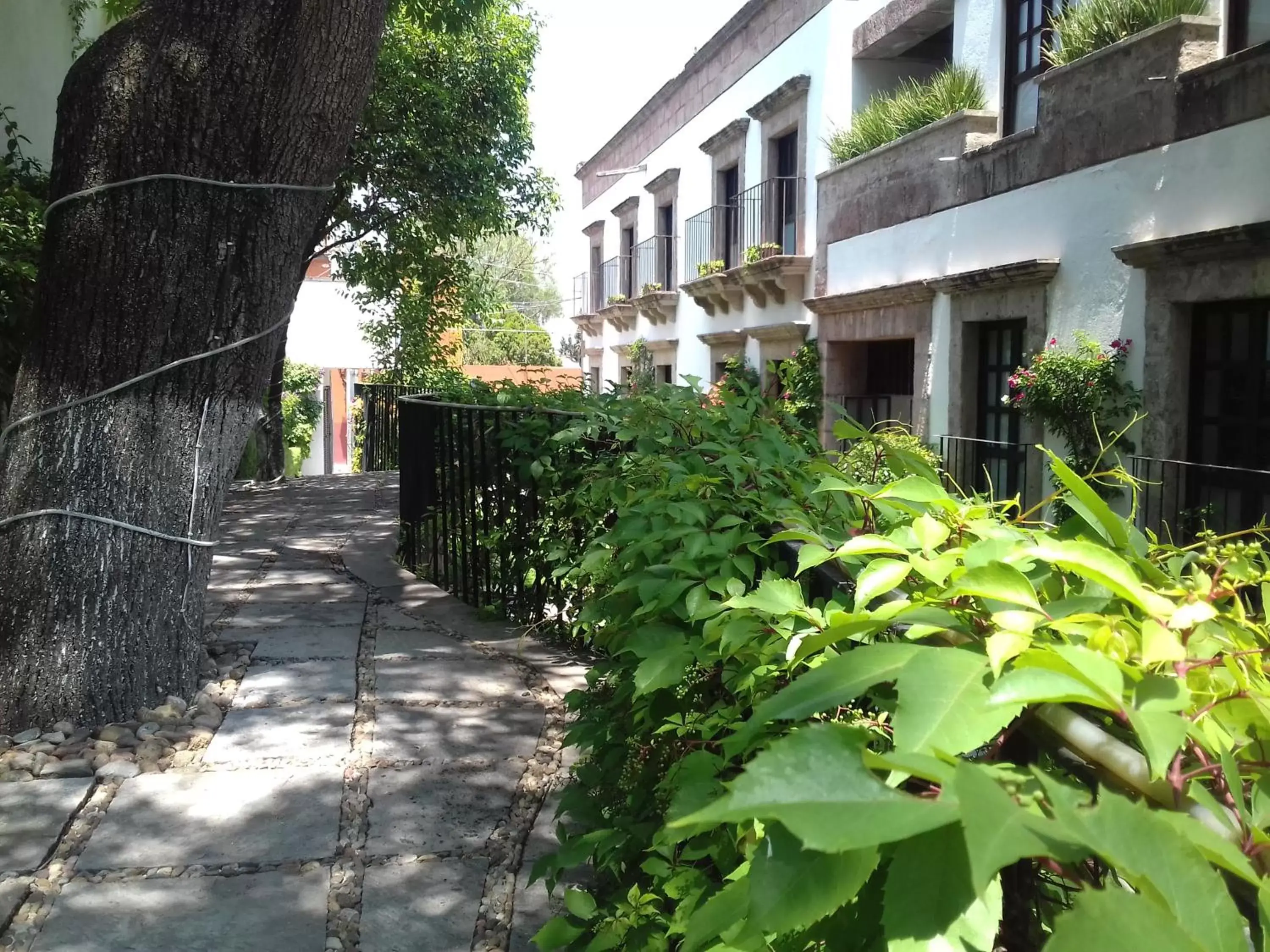 Facade/entrance, Patio/Outdoor Area in Hotel & Spa Doña Urraca San Miguel De Allende