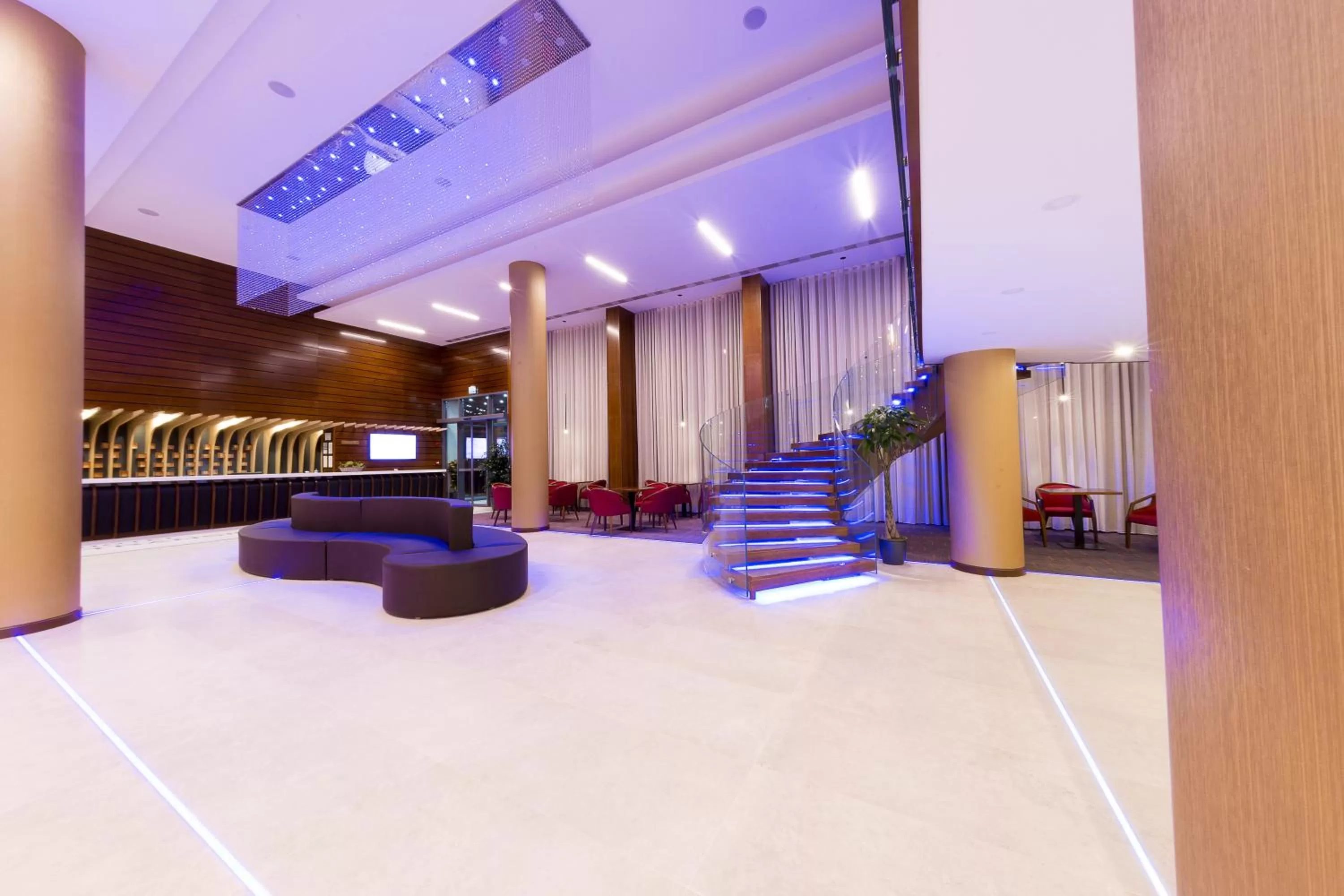 Lobby or reception in Hotel Transilvania