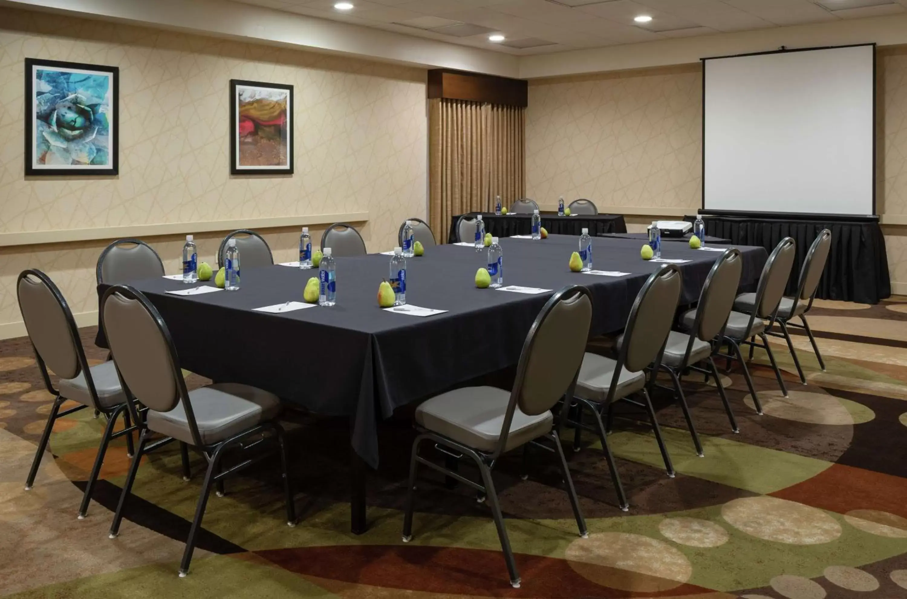 Meeting/conference room in Hampton Inn Tropicana