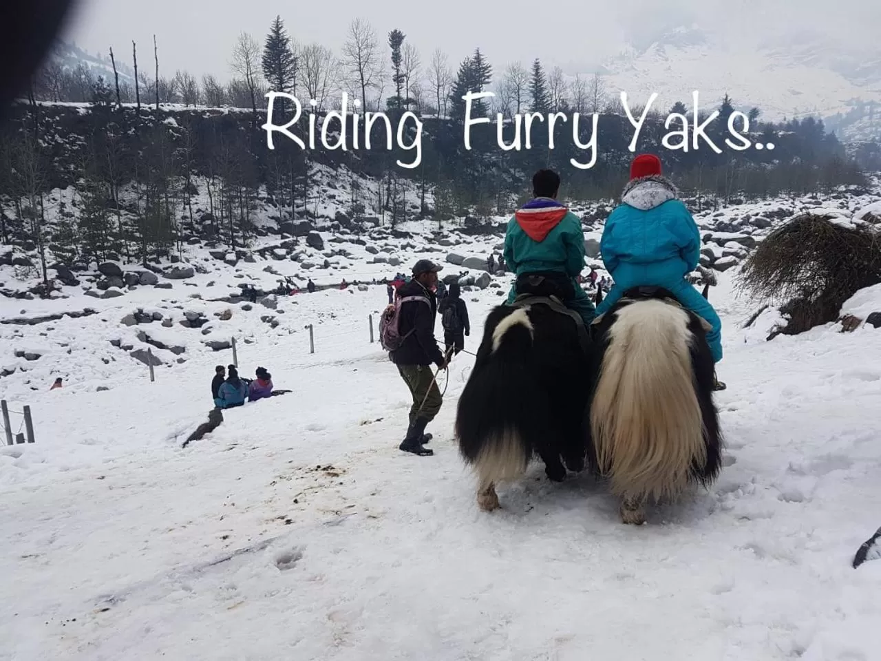 Winter in Sai Cottage Shimla