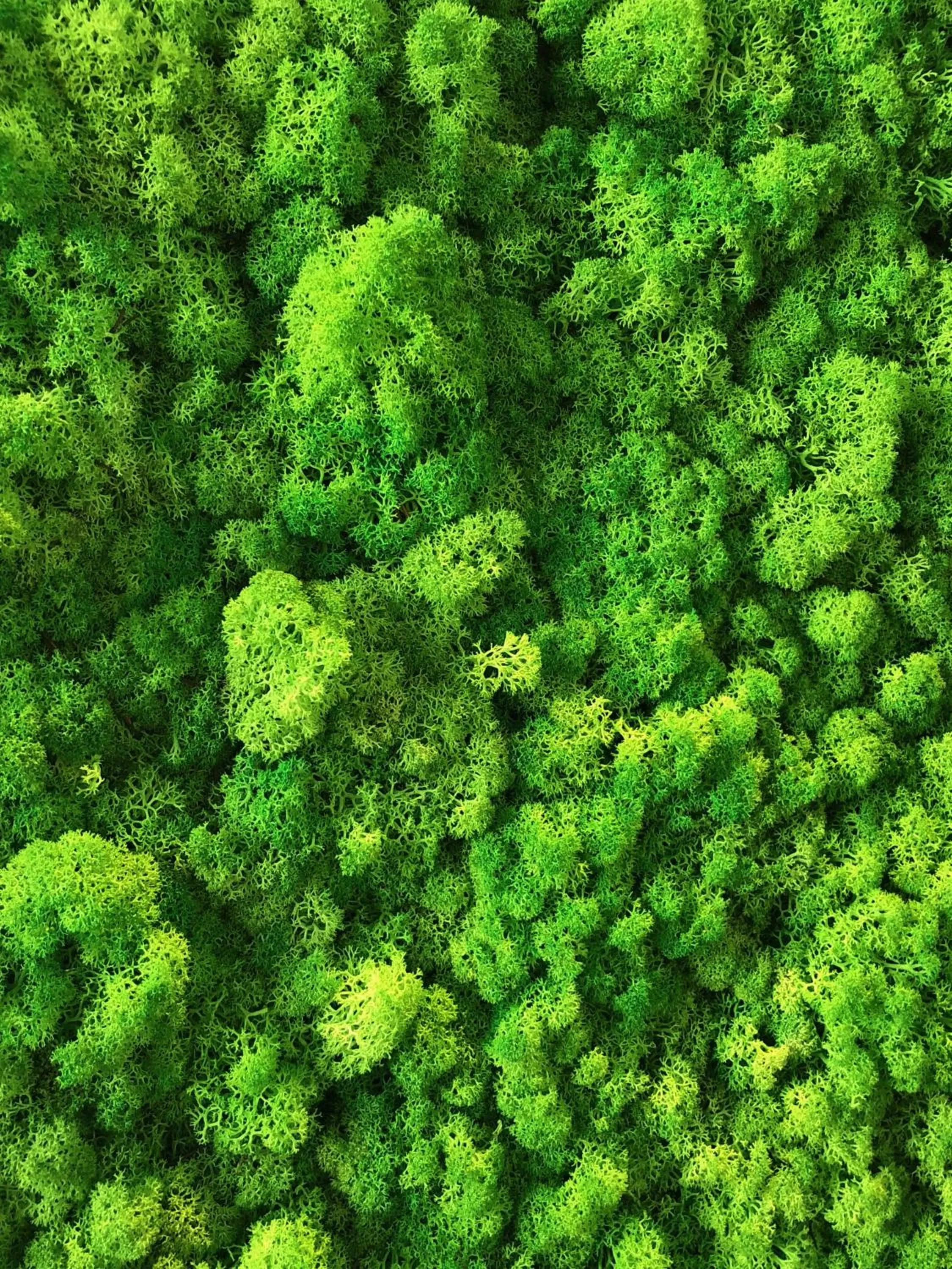 Decorative detail in Margaréta Garden & SPA