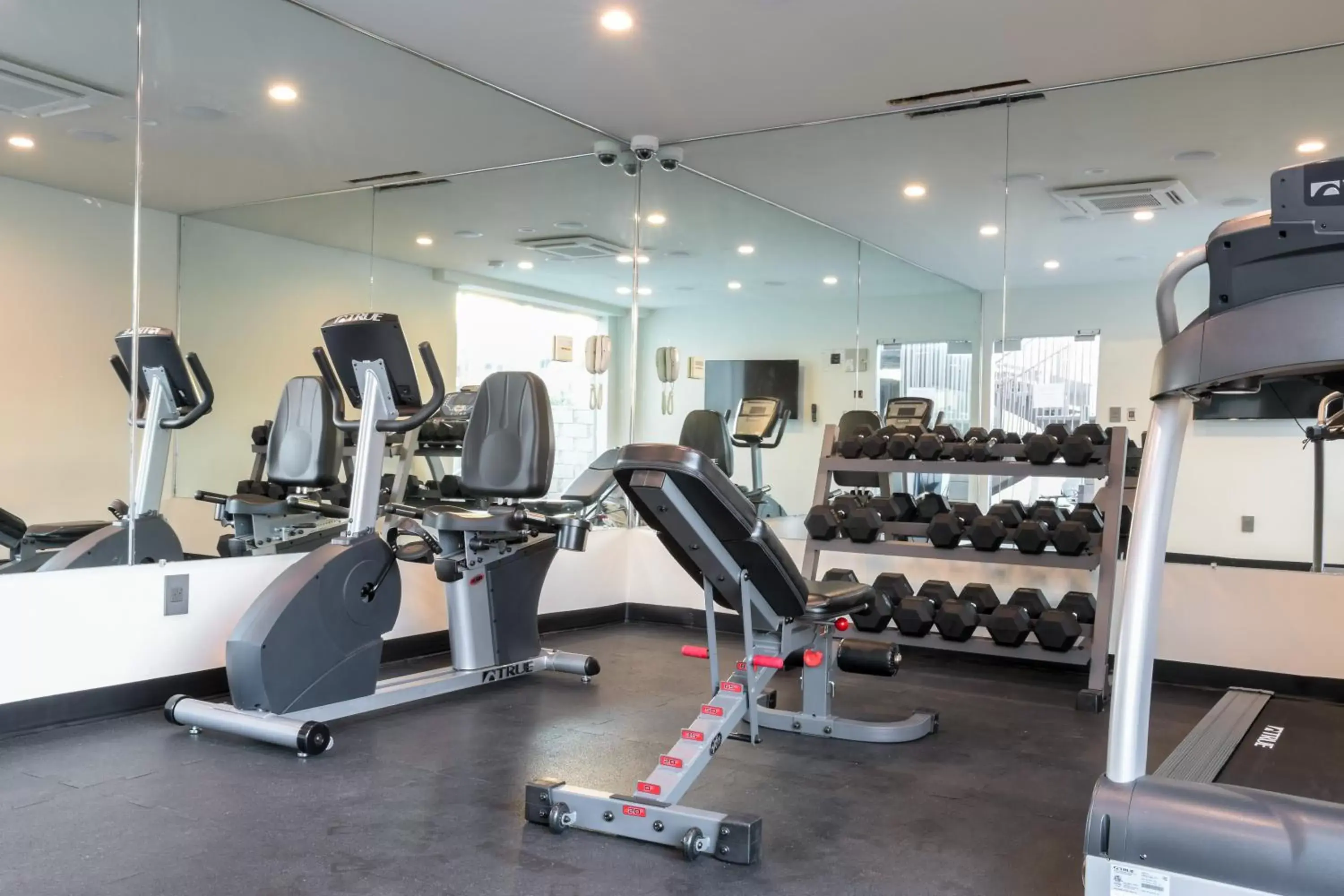 Fitness centre/facilities, Fitness Center/Facilities in Hotel Xilo Glendale