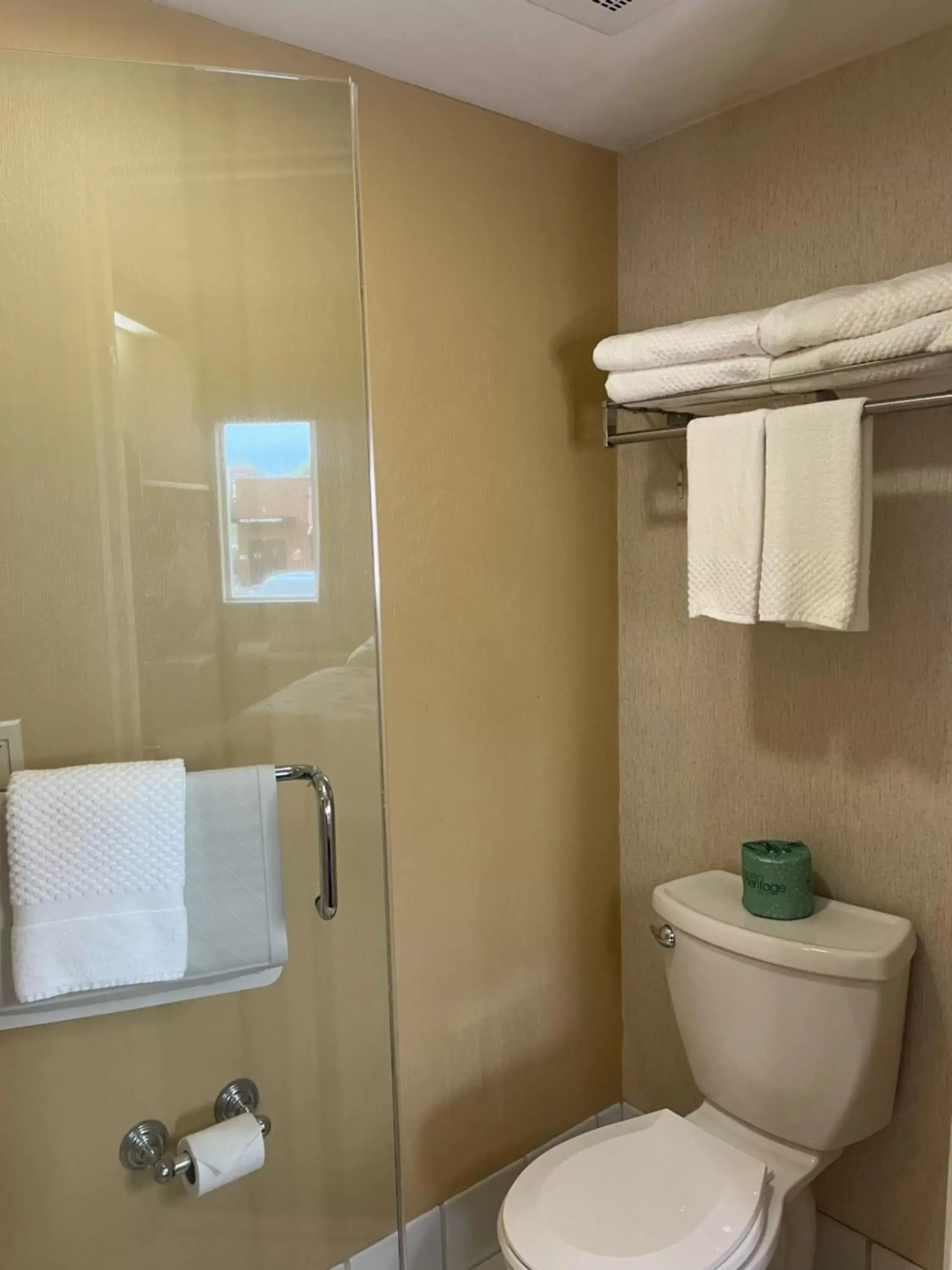 Bathroom in Sleep Inn Lynchburg - University Area & Hwy 460