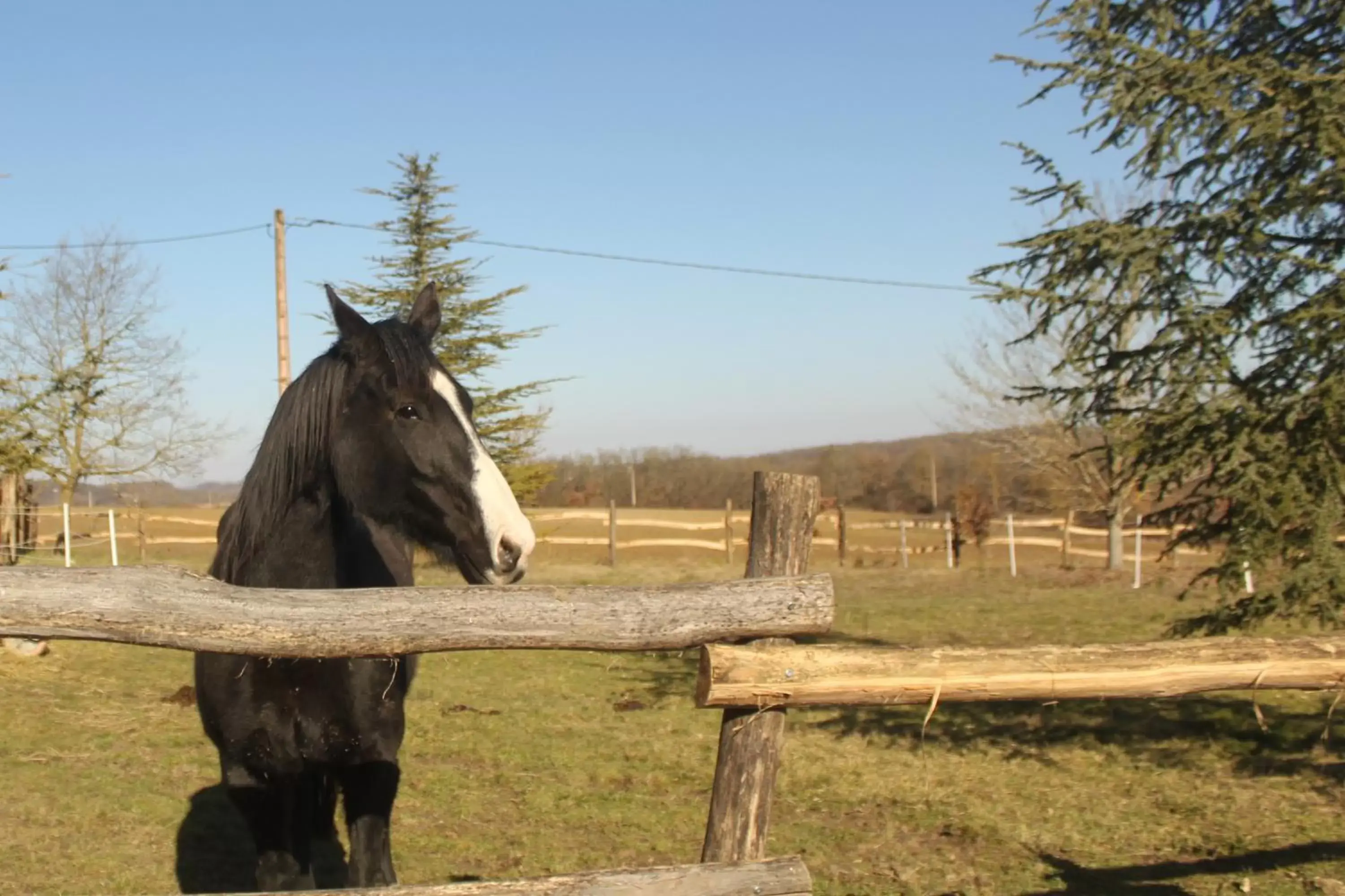 Other Animals in Domaine de la Couderquié