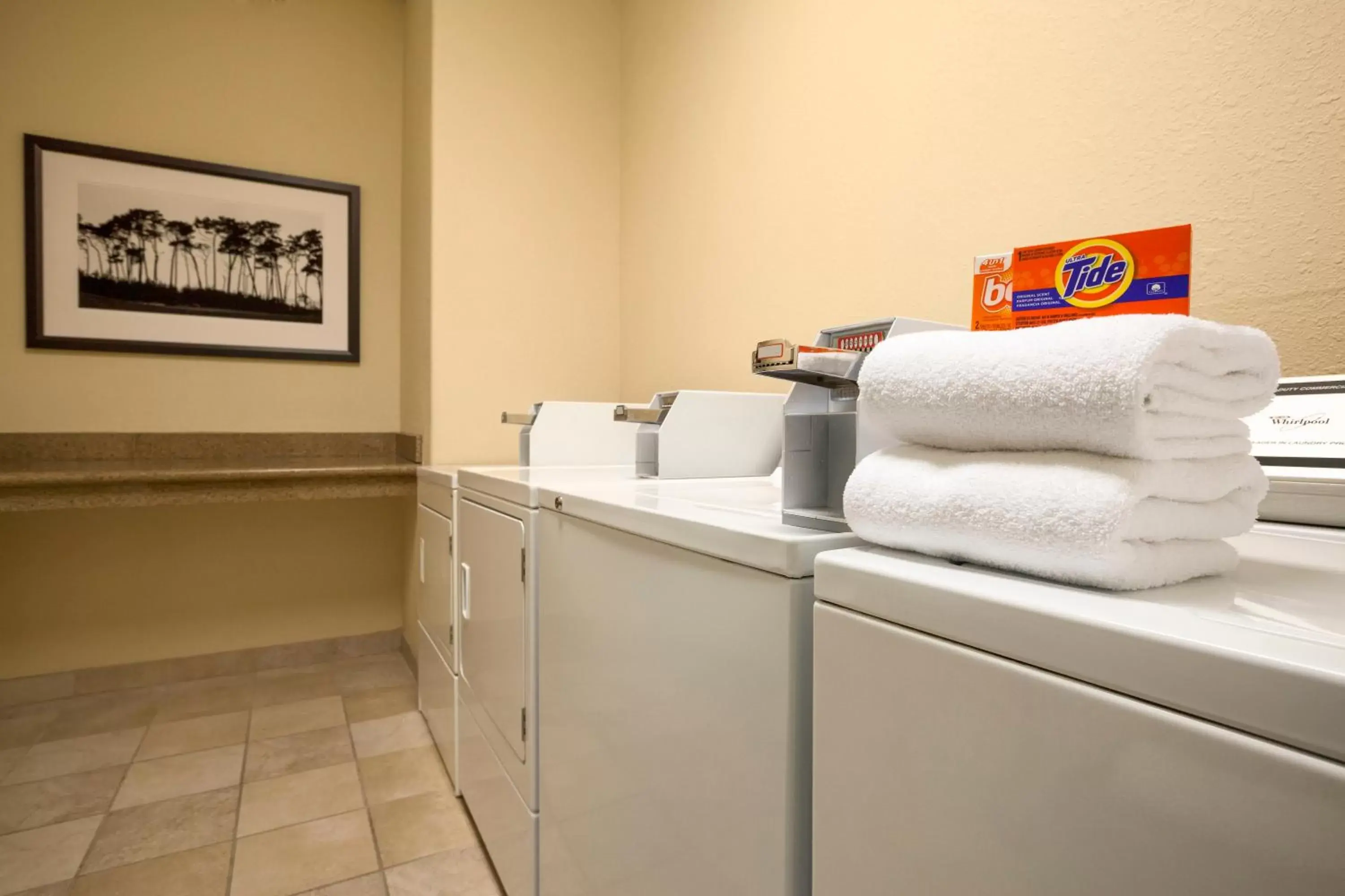 Area and facilities in Country Inn & Suites by Radisson, Seattle-Tacoma International Airport, WA