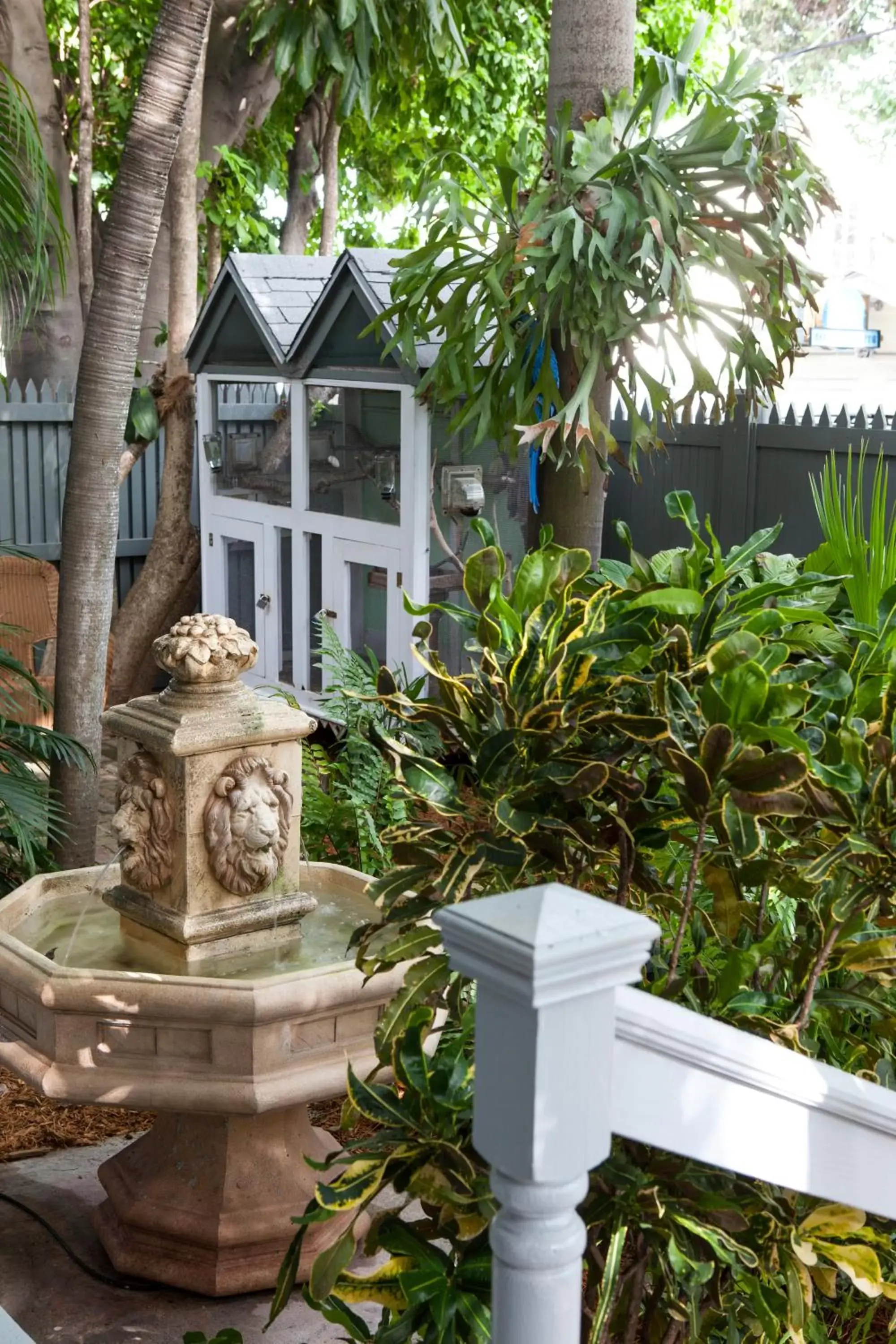 Garden in The Cabana Inn Key West - Adult Exclusive