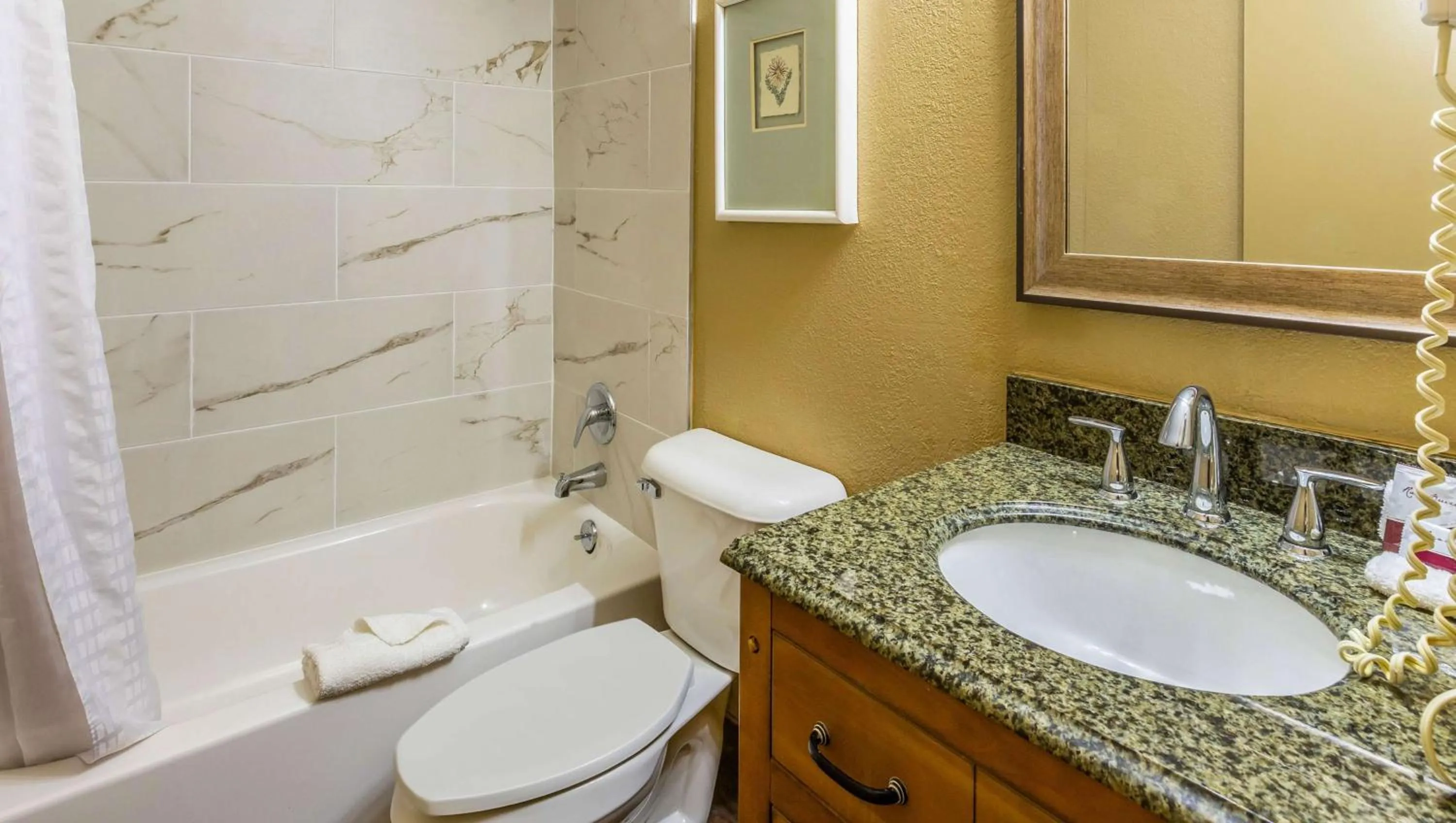 Bathroom in Magnuson Hotel Detroit Airport