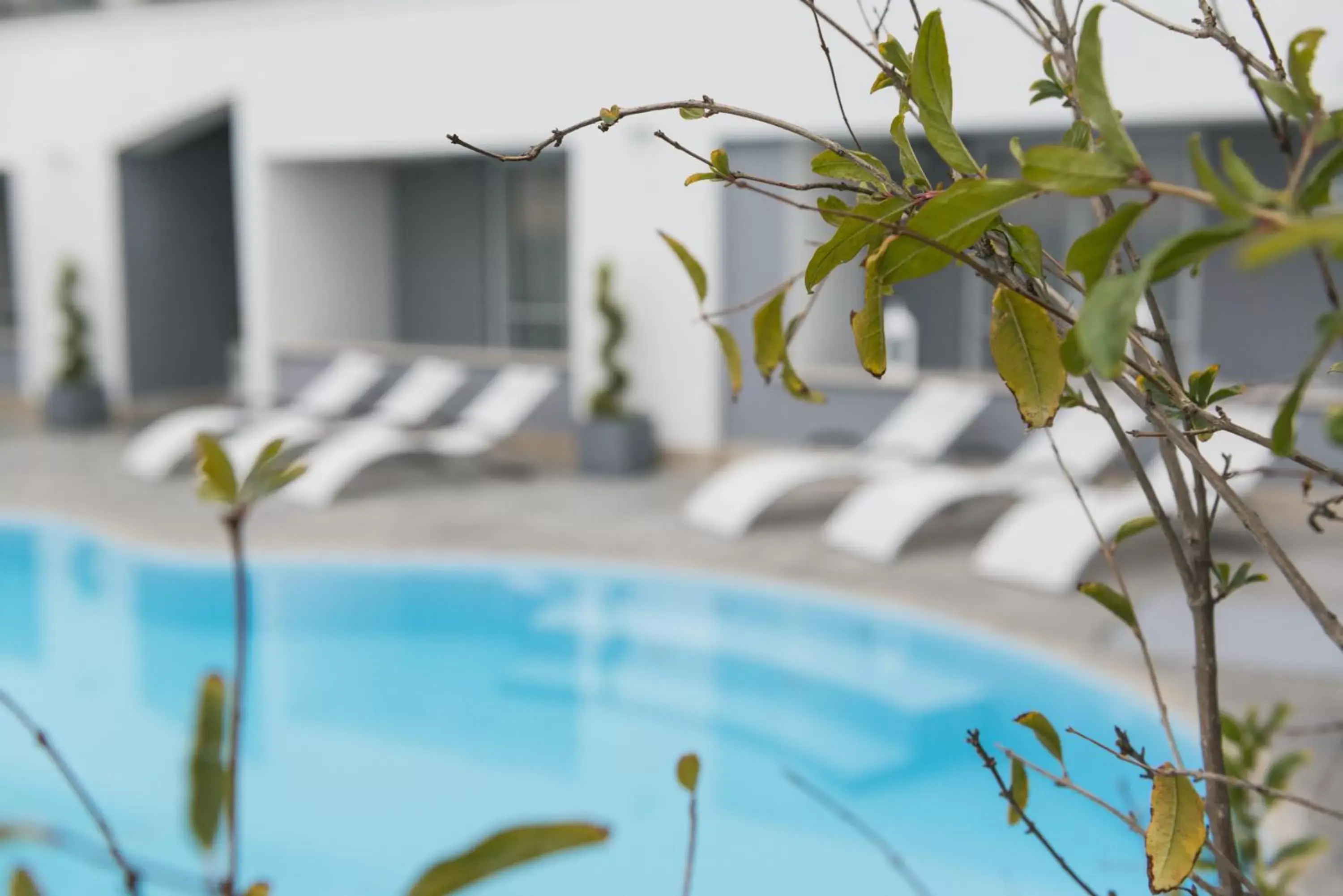 Swimming Pool in Residence del sole Manfredonia