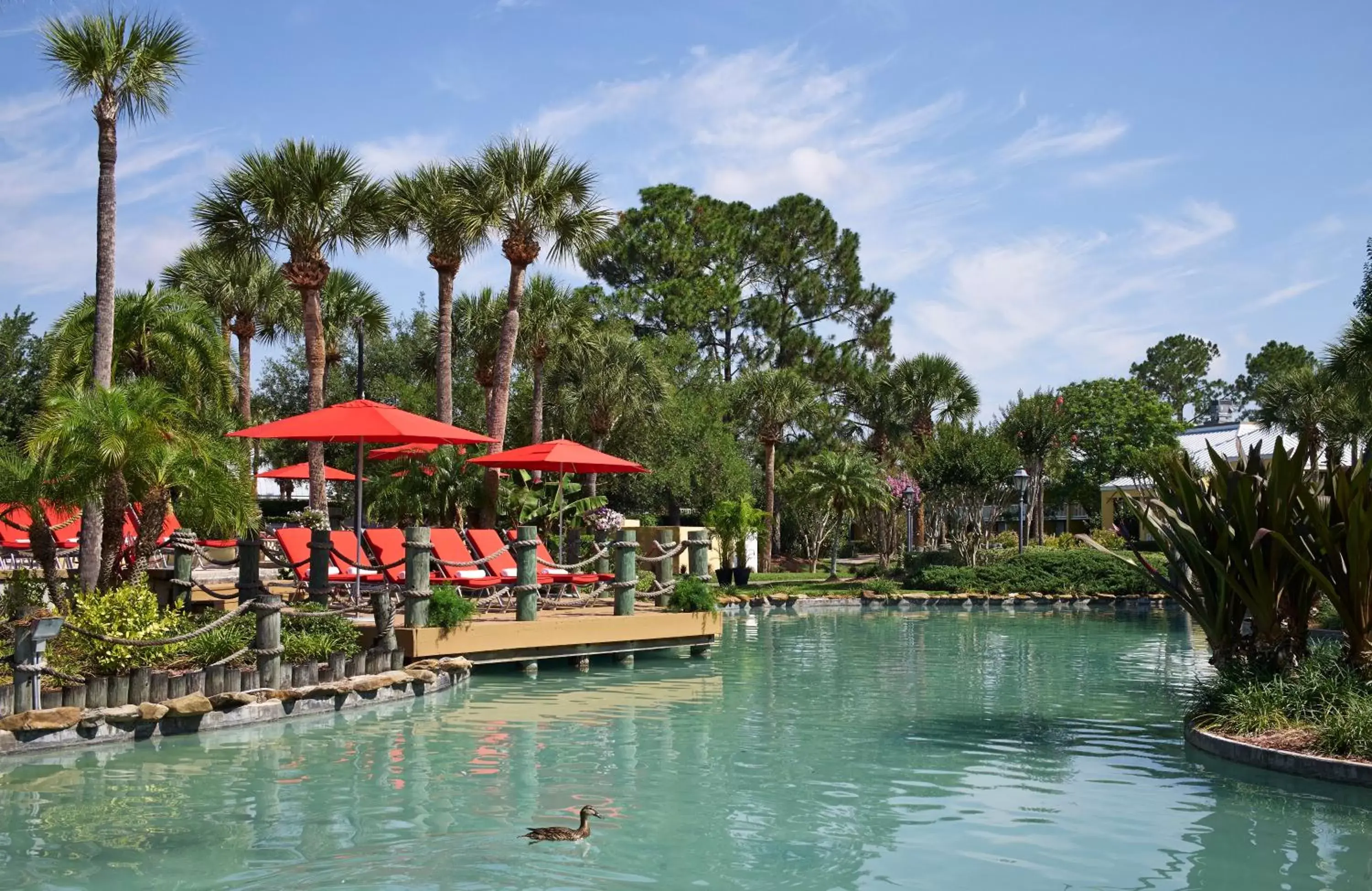 Area and facilities, Swimming Pool in Wyndham Orlando Resort International Drive