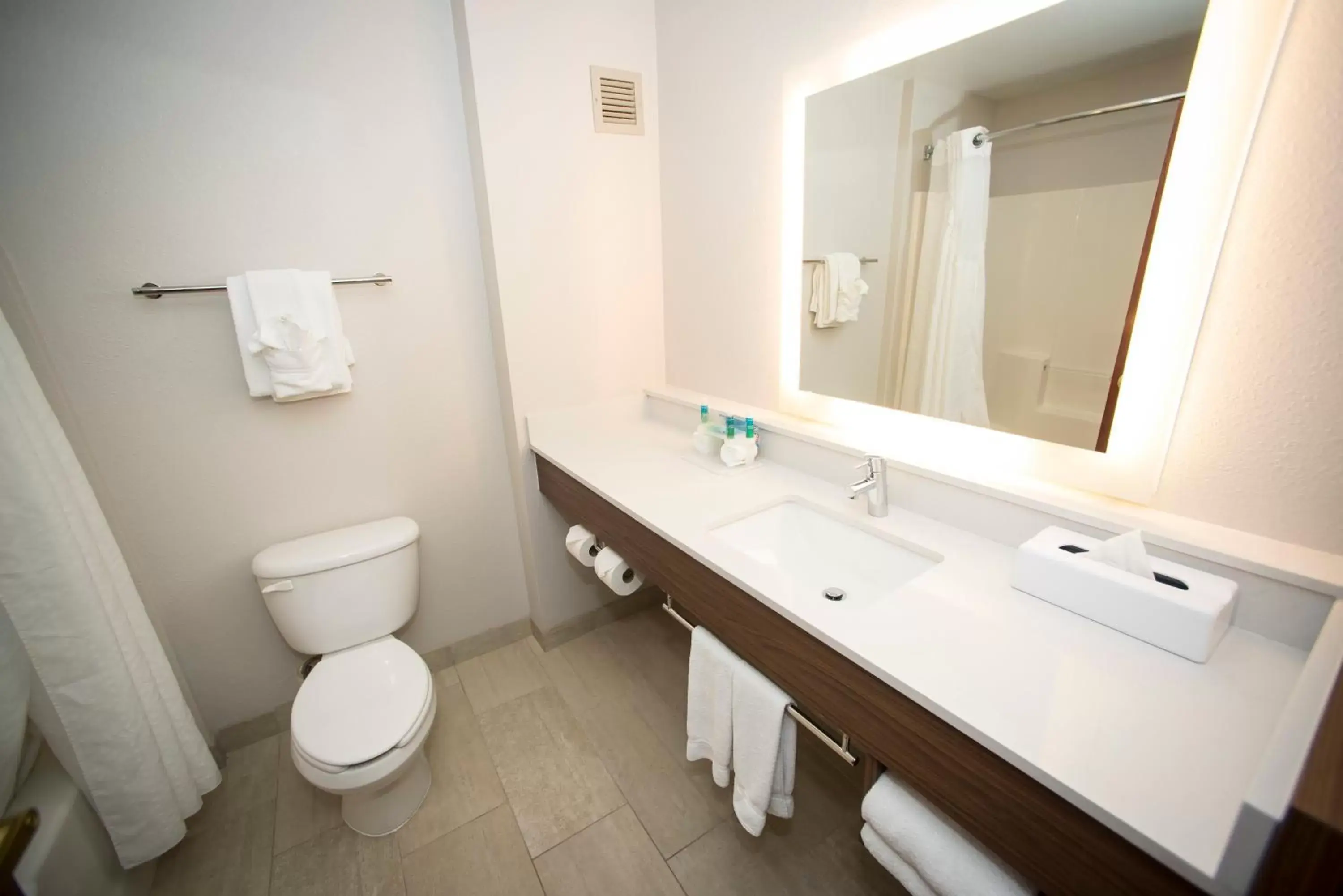 Bathroom in Holiday Inn Express Hotel & Suites Lexington-Downtown University, an IHG Hotel