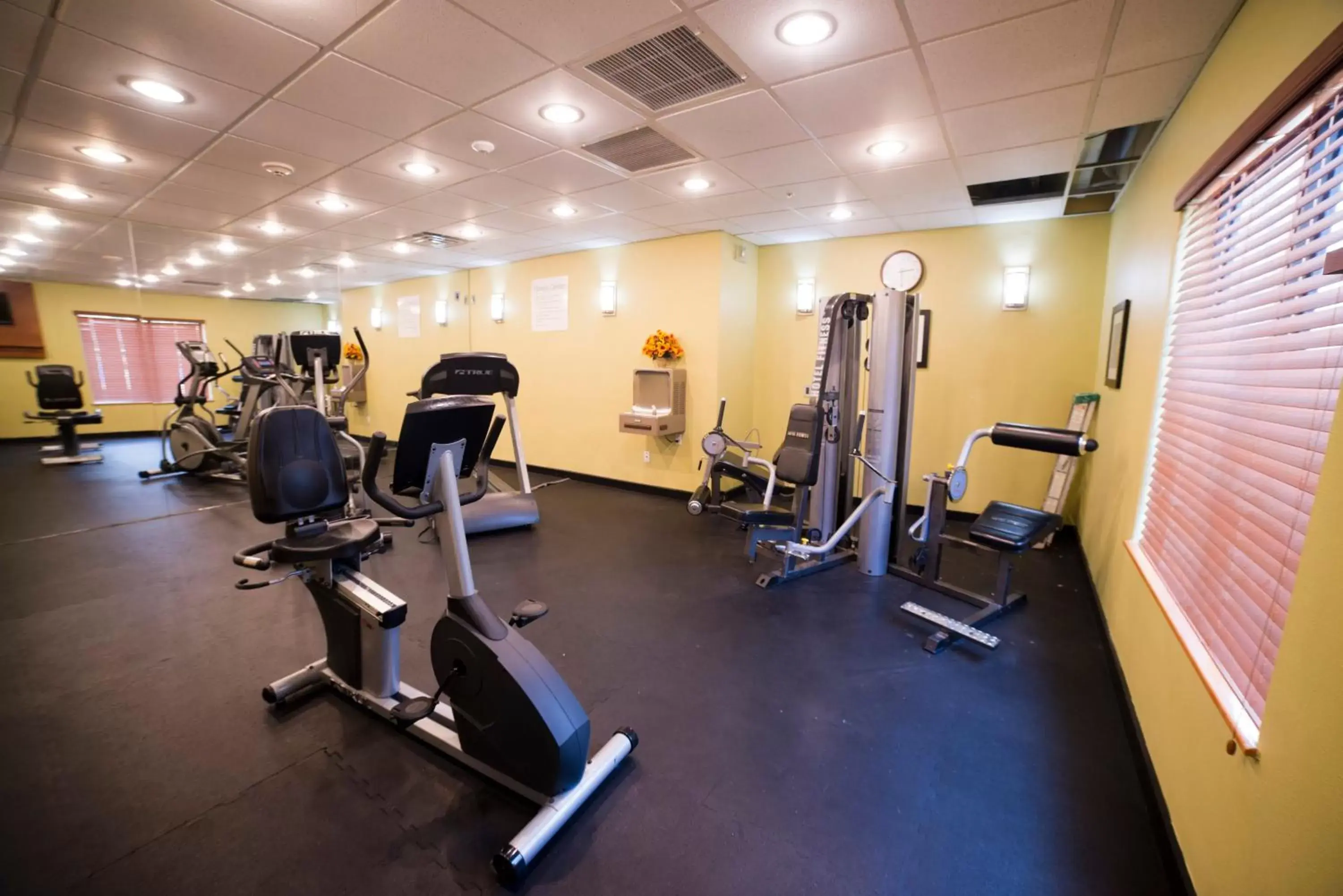 Fitness centre/facilities, Fitness Center/Facilities in Holiday Inn Express Hotel & Suites Atlanta East - Lithonia, an IHG Hotel