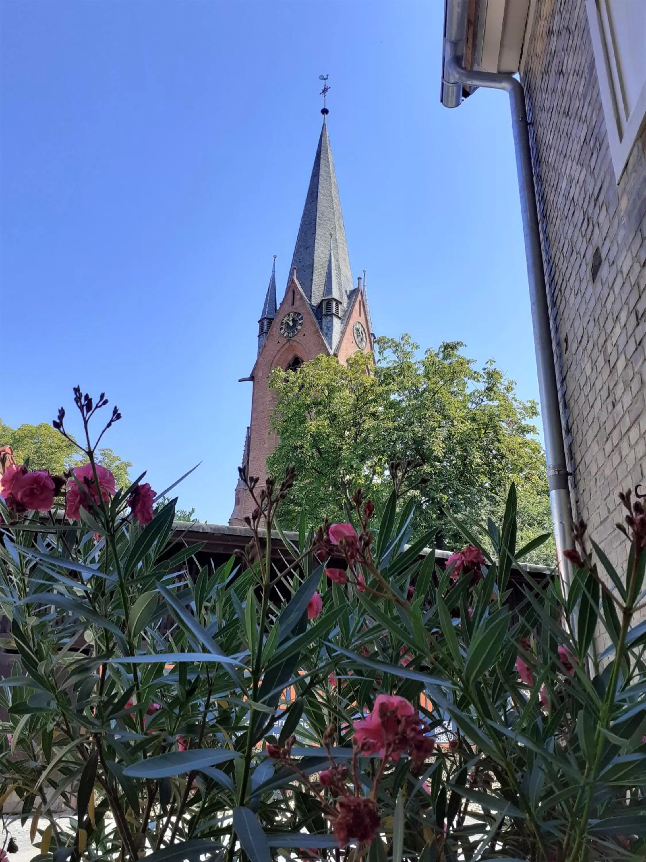 Property building in BürgerhausLöwen