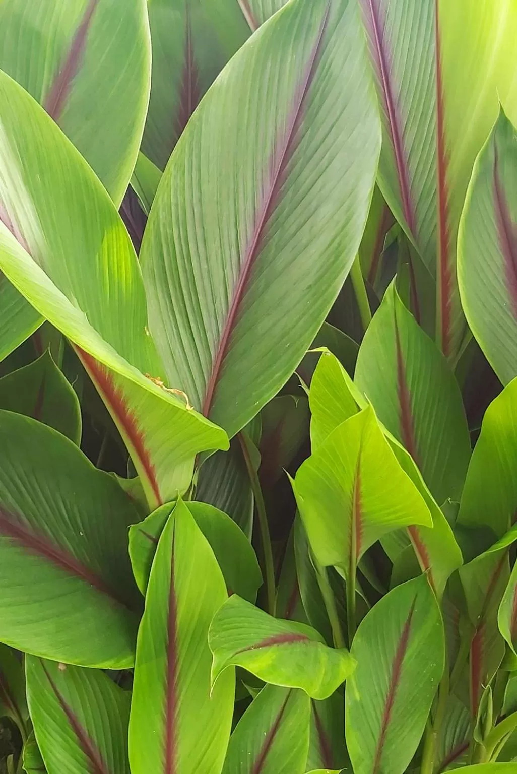 Natural landscape in Balsora Hotel Boutique