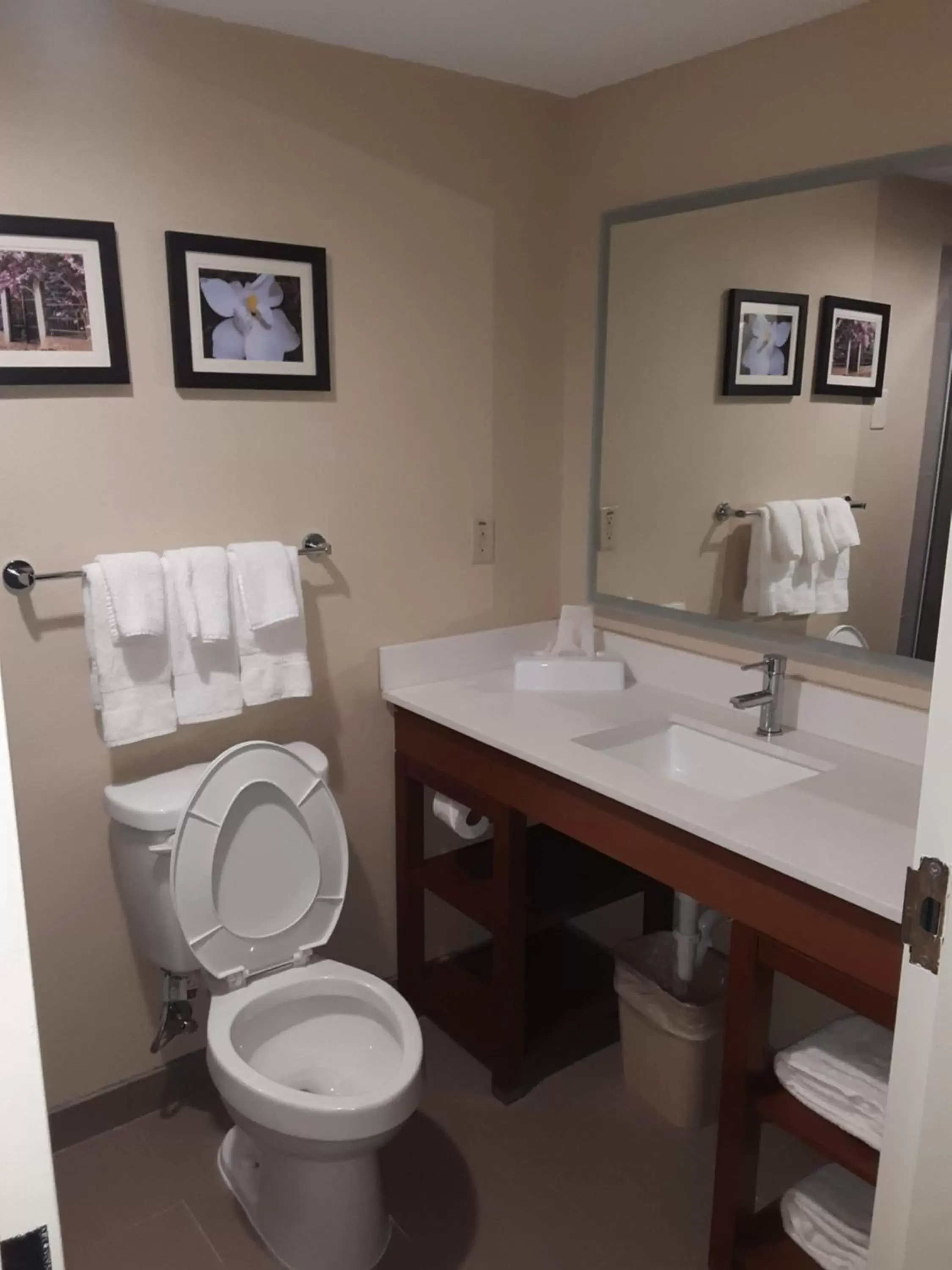 Bathroom in Comfort Inn & Suites Grenada