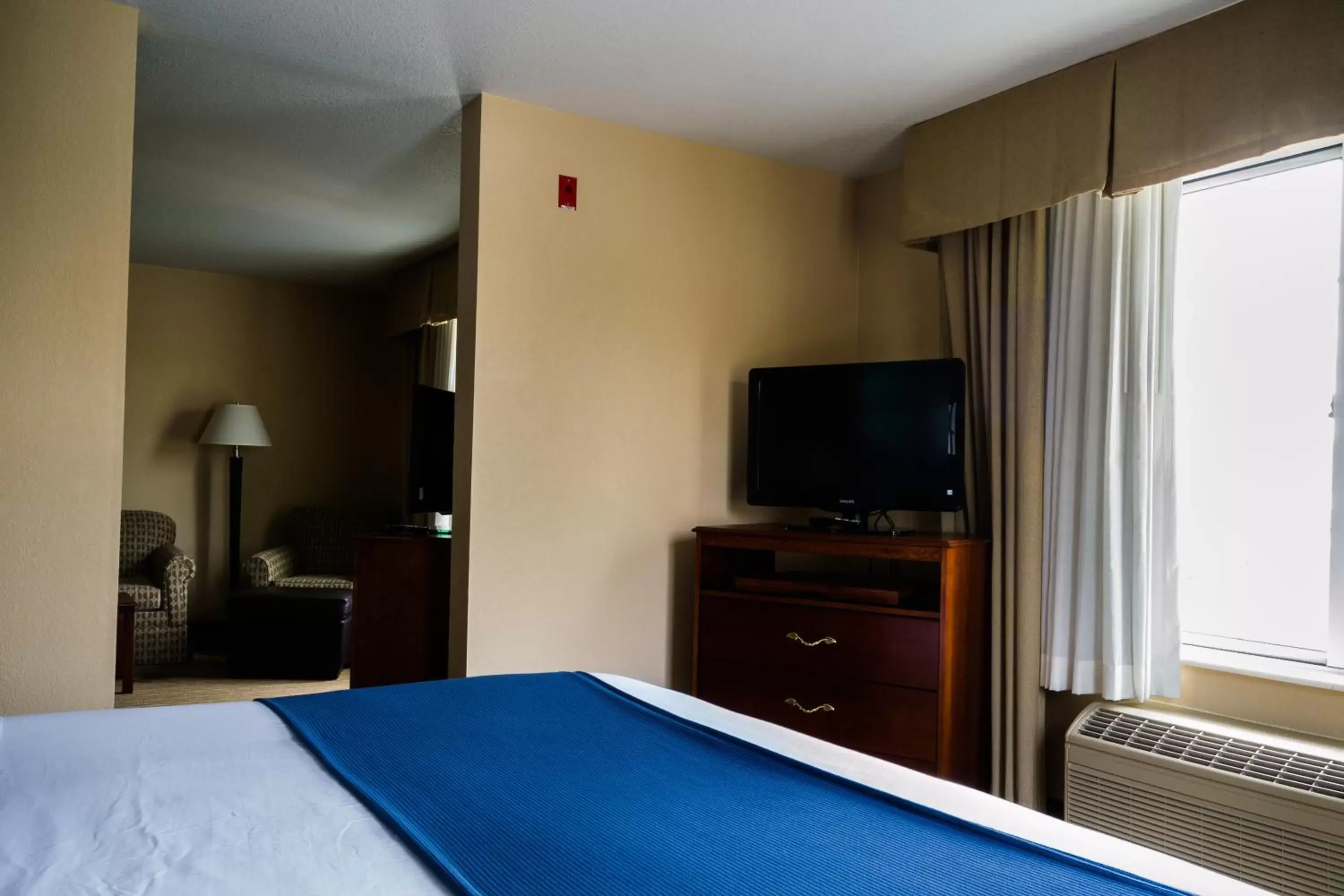 TV and multimedia, Bed in Holiday Inn Express Hotel & Suites Acme-Traverse City, an IHG Hotel