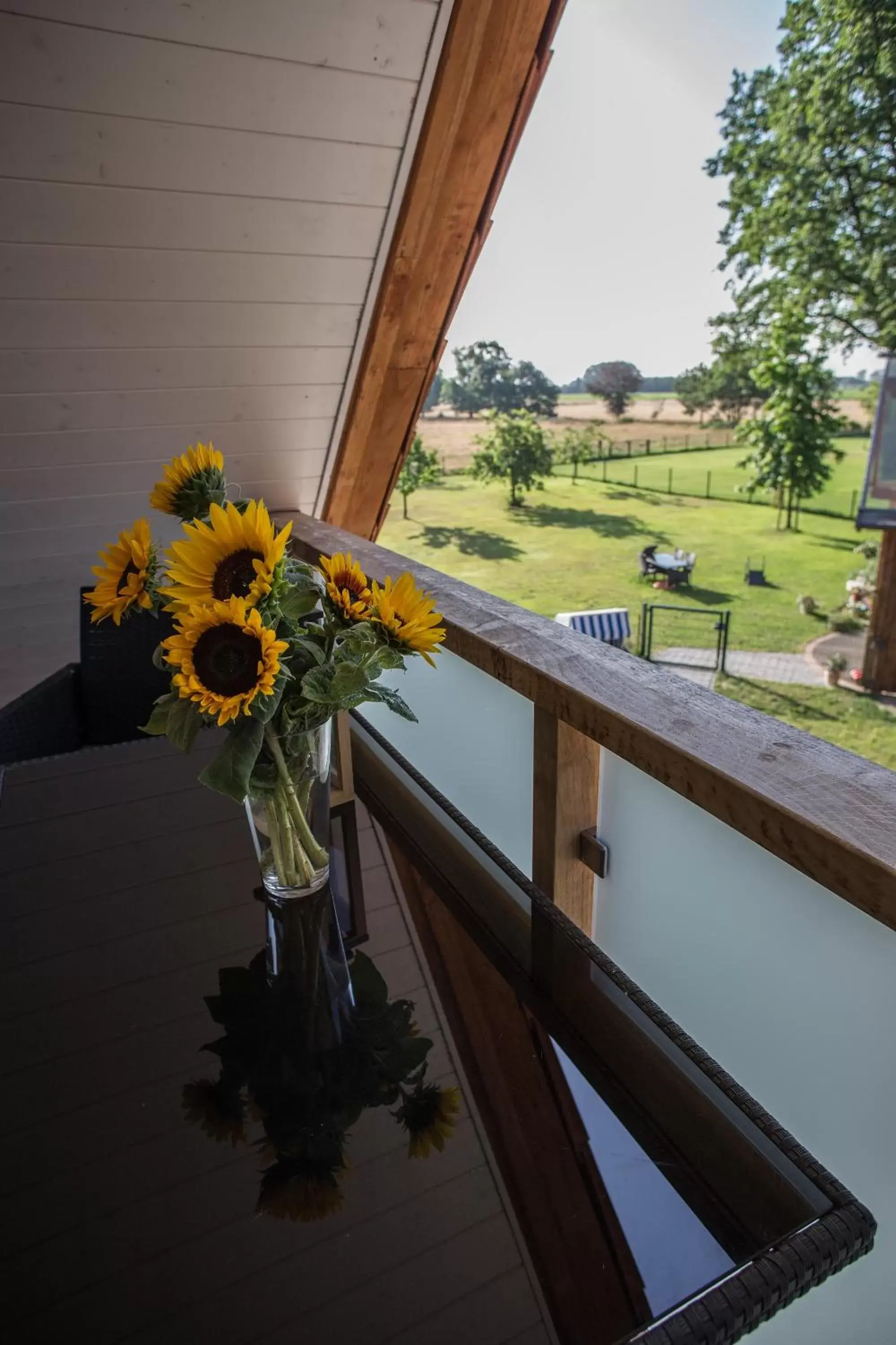 Balcony/Terrace in Ringhotel Forellenhof