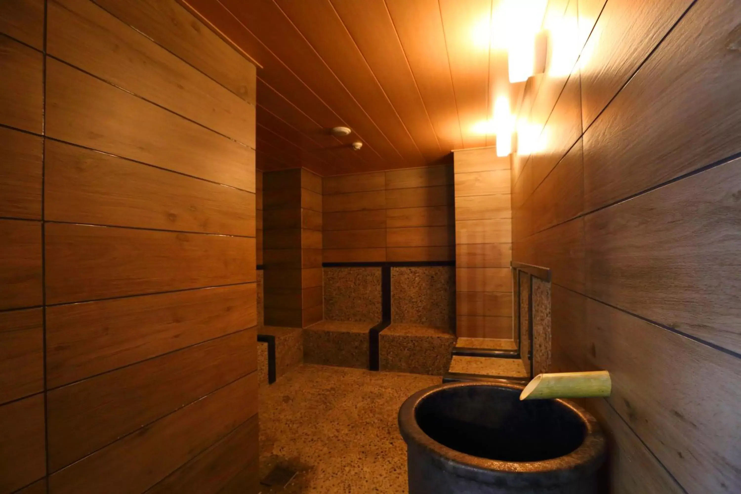 Hot Spring Bath, Bathroom in Henn na Hotel Kansai Airport