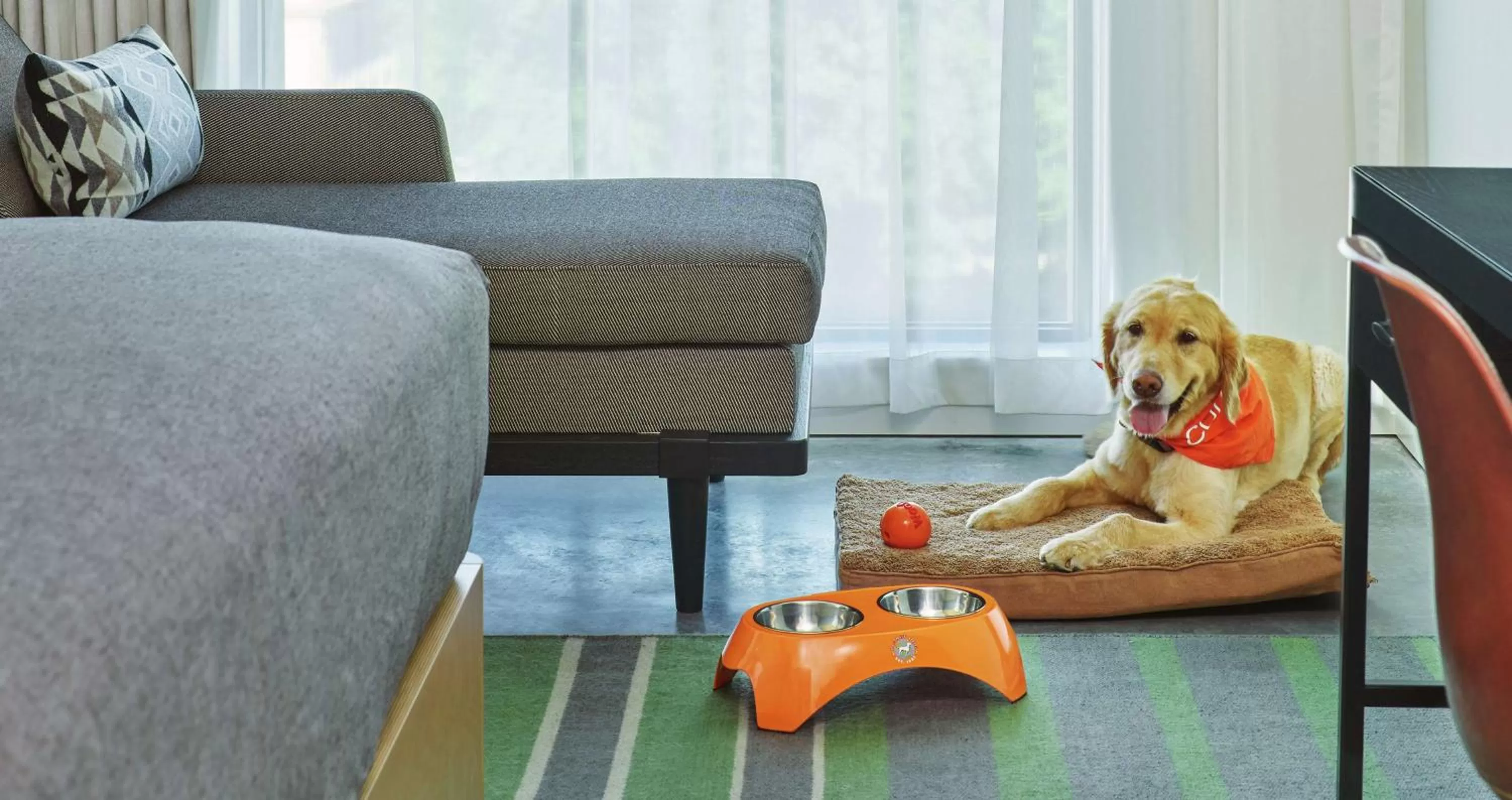 Living room in Canopy by Hilton Portland Pearl District