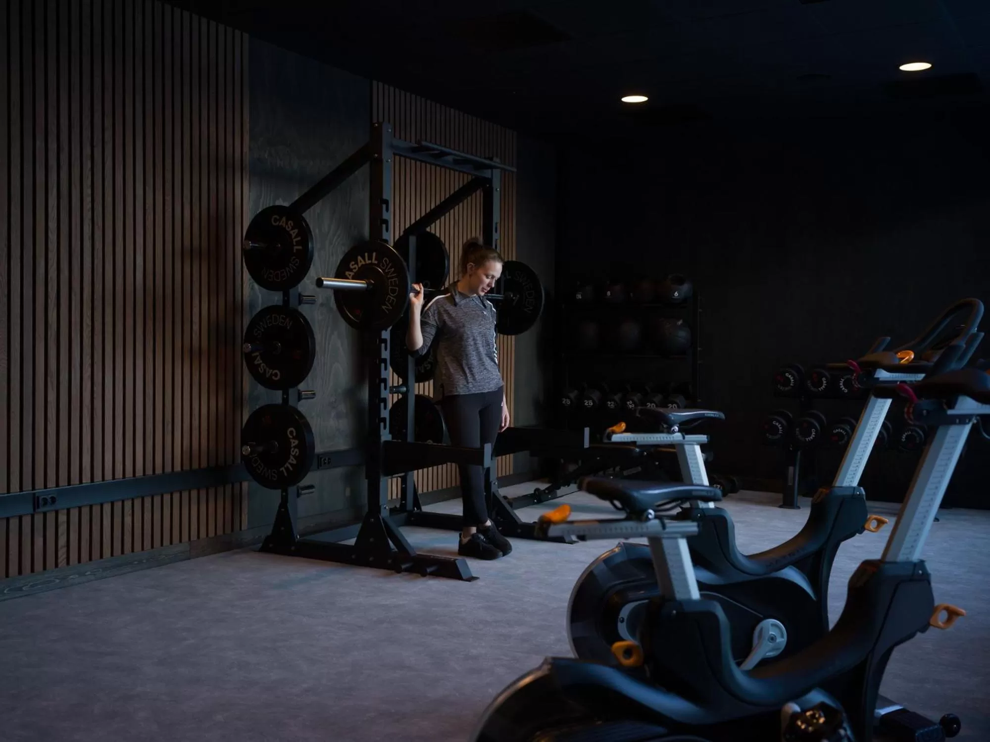 Fitness centre/facilities in Skarsnuten Mountain Resort & SPA