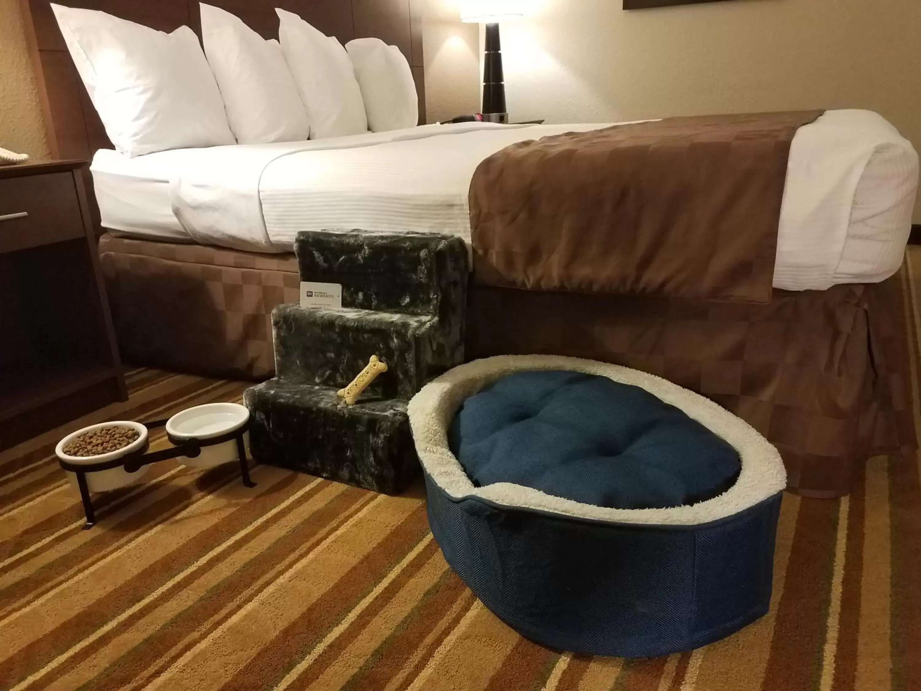 Pets, Bed in Best Western Regency Inn