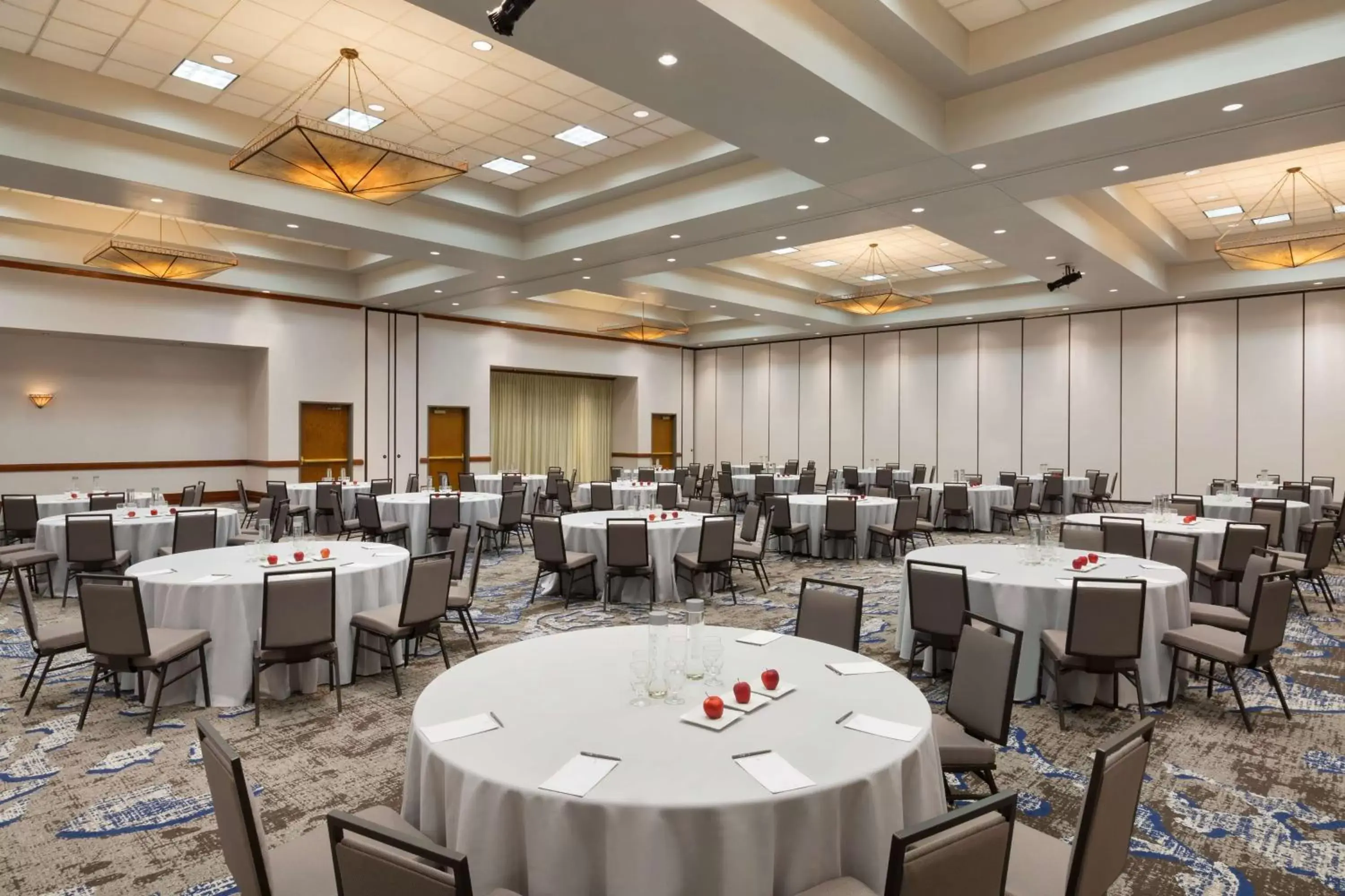 Meeting/conference room in Embassy Suites Dallas - DFW Airport North