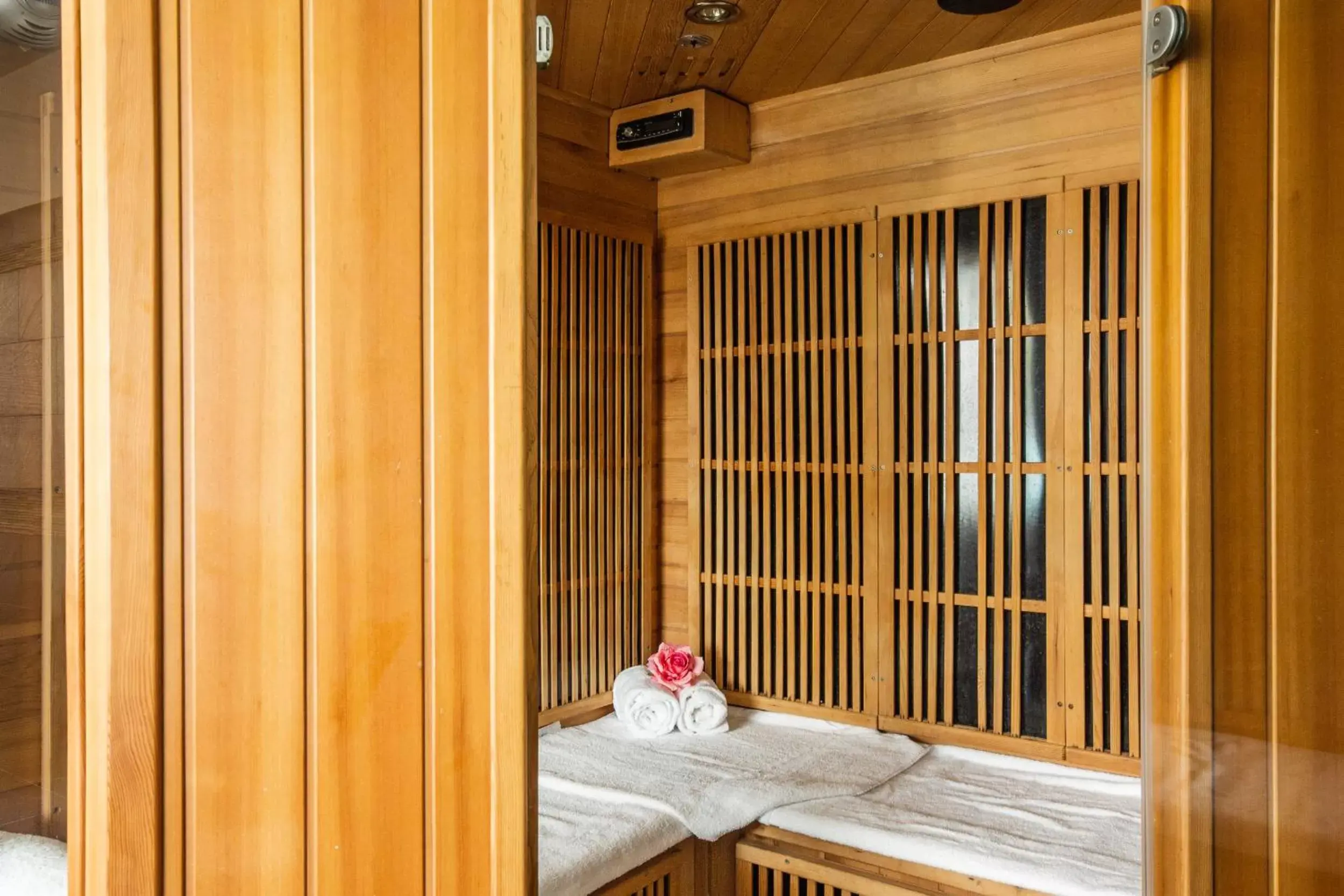 Sauna in Hôtel Spa Restaurant La Madrague