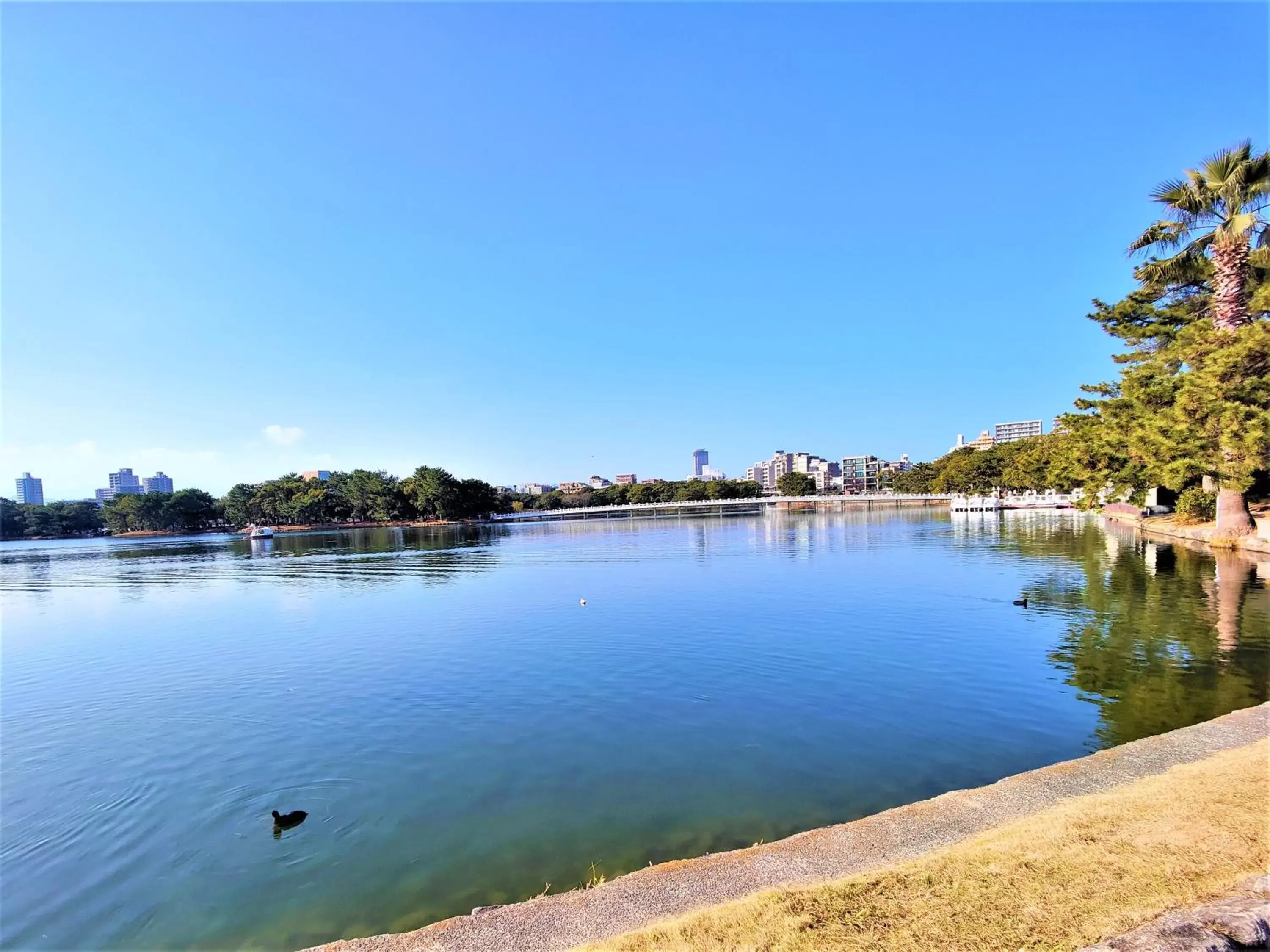 Natural landscape in Heiwadai Hotel Otemon