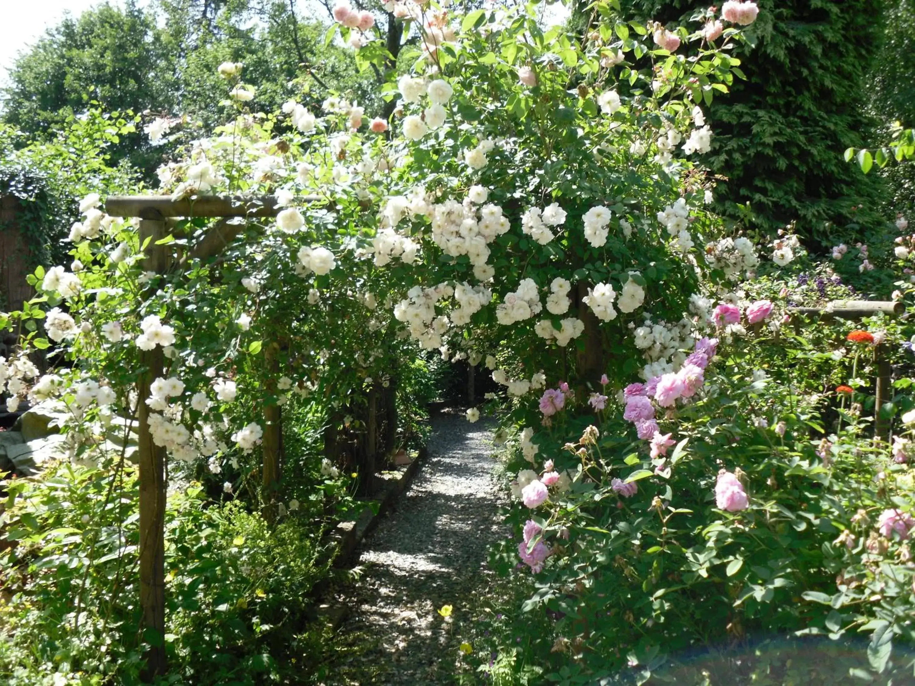 Garden in Storrs Gate House