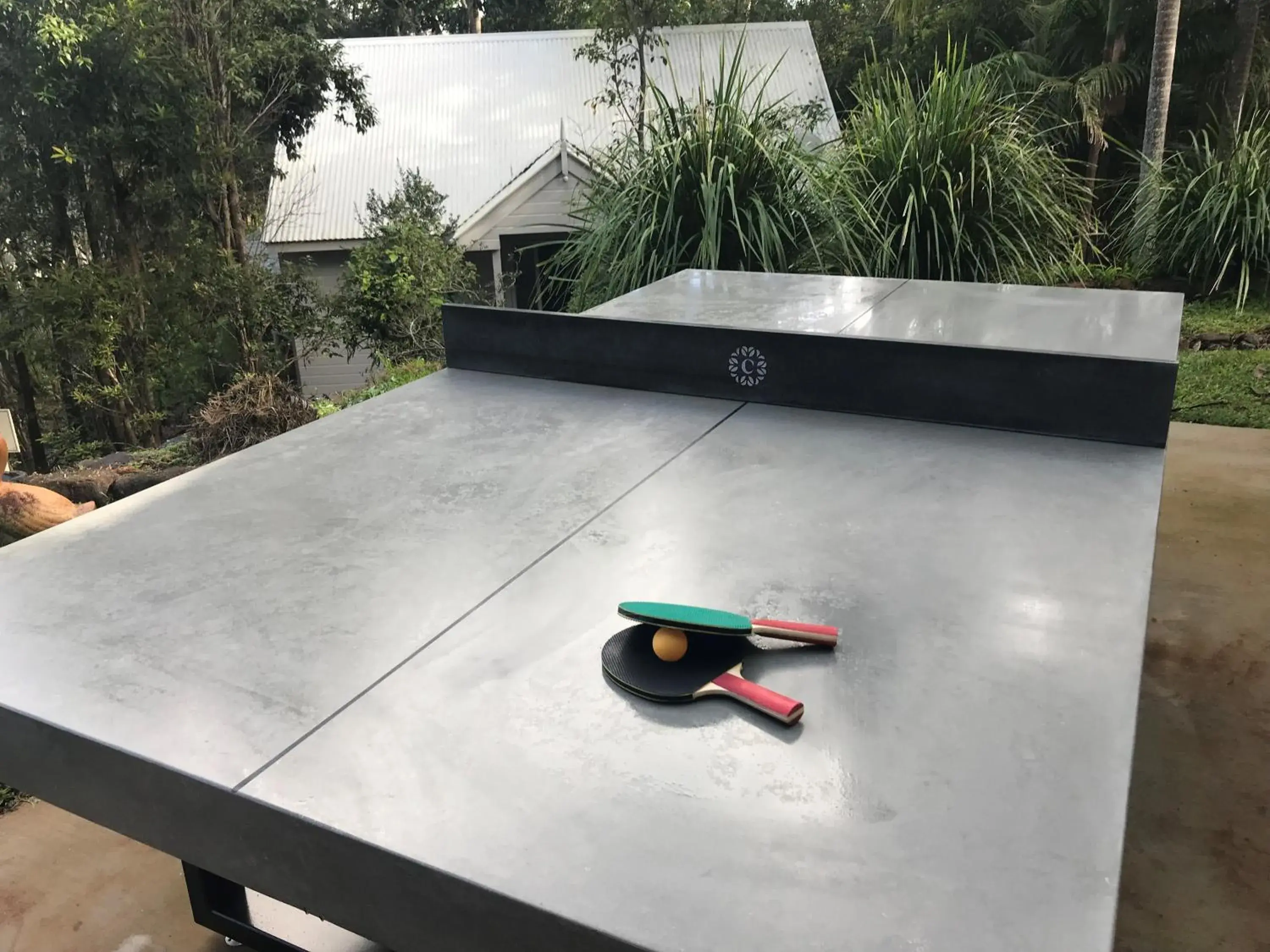 Table Tennis in Clouds Montville