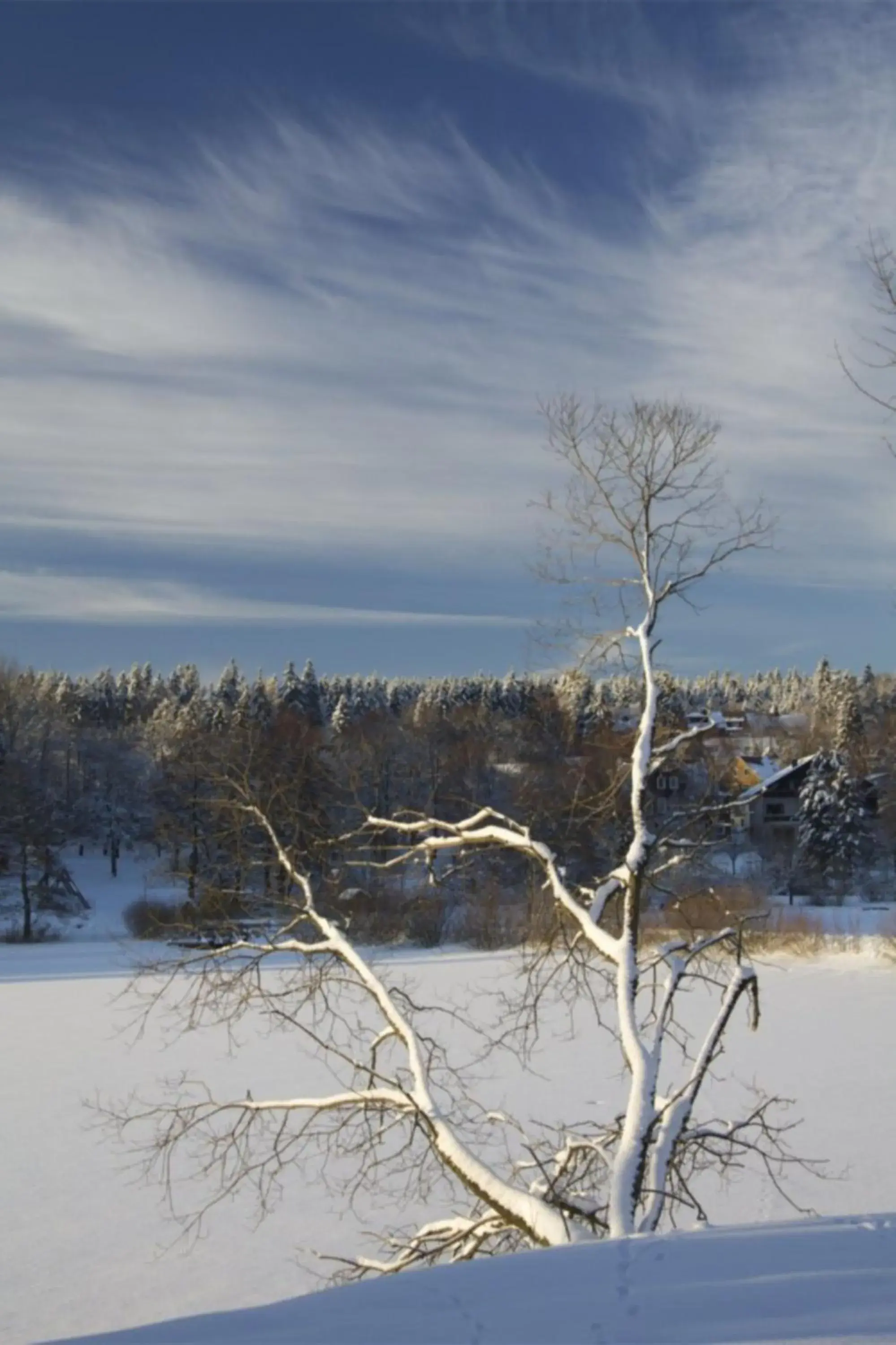 Natural landscape, Winter in Hotel Njord