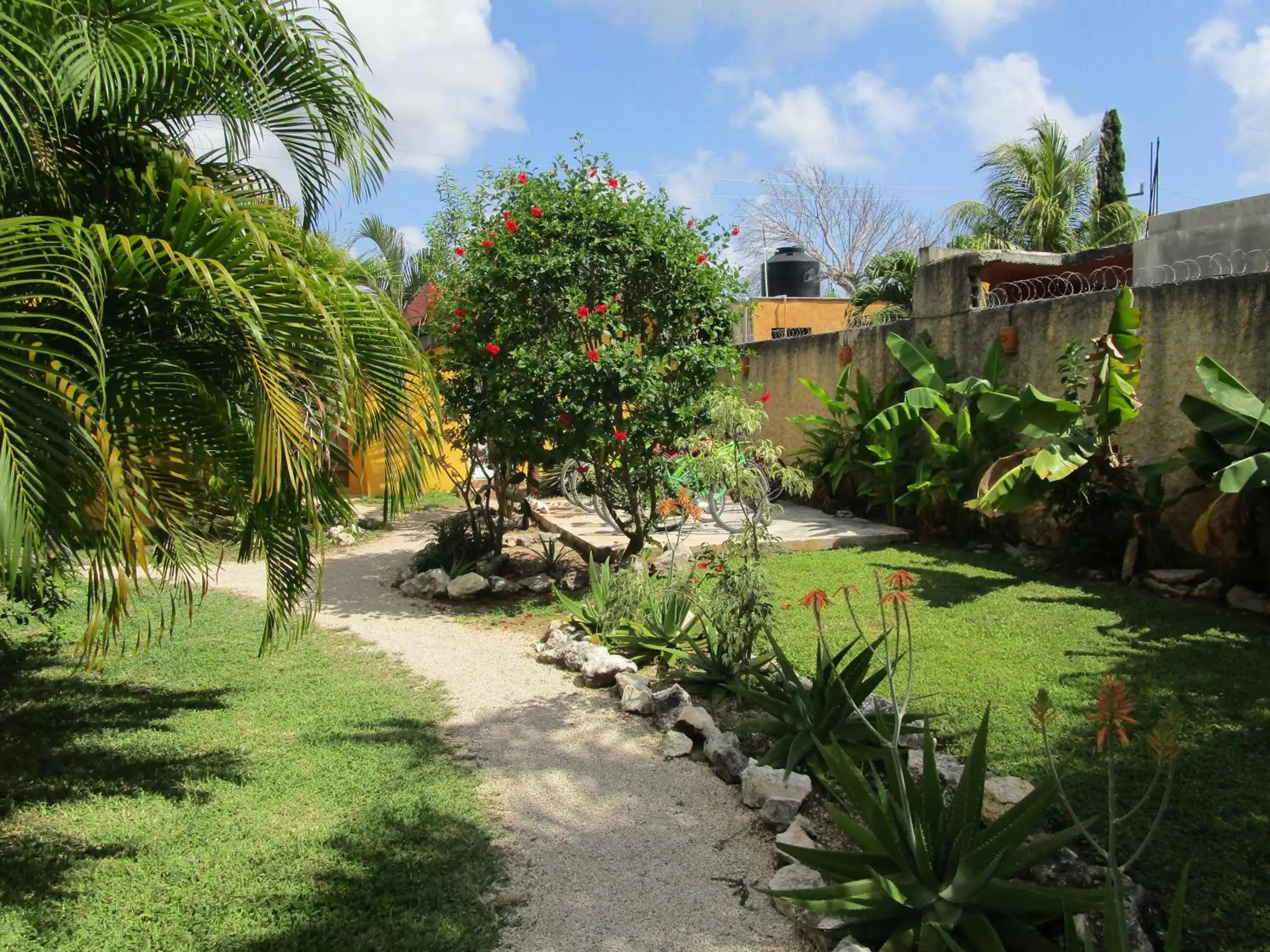 Garden in Casa Abanico Tulum