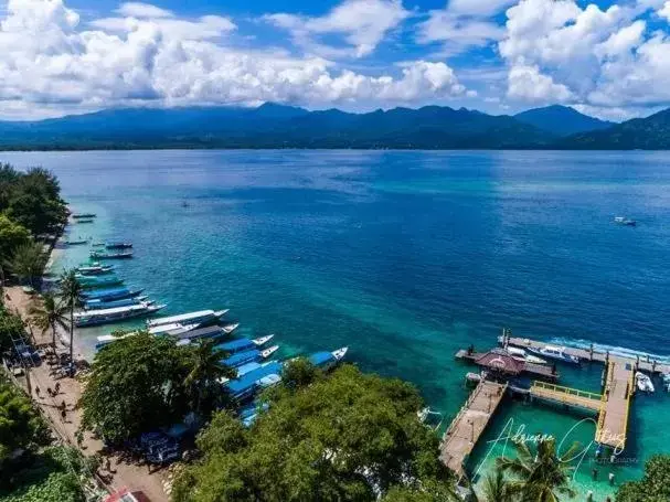 Natural landscape in Oceans 5 Dive Resort