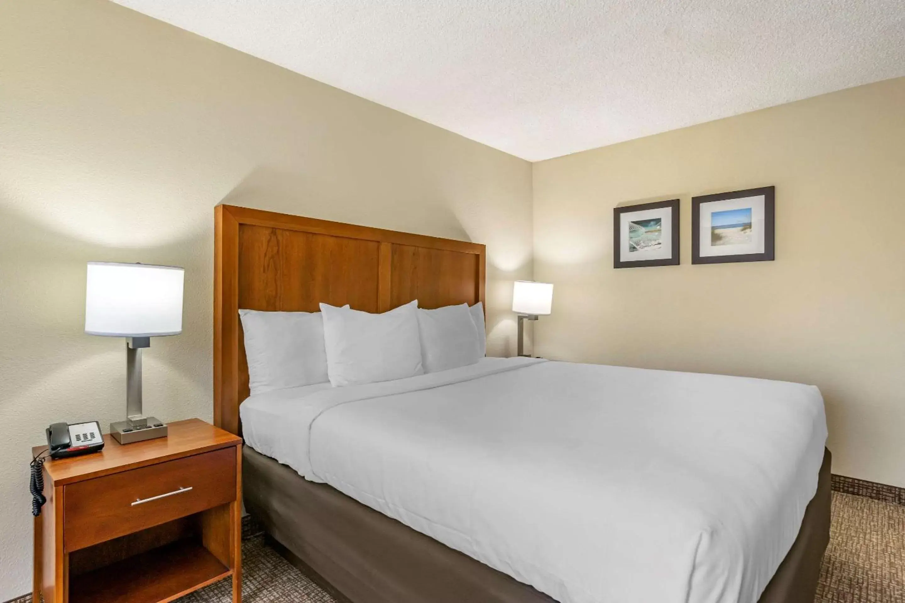 Photo of the whole room, Bed in Comfort Inn & Suites St Pete - Clearwater International Airport