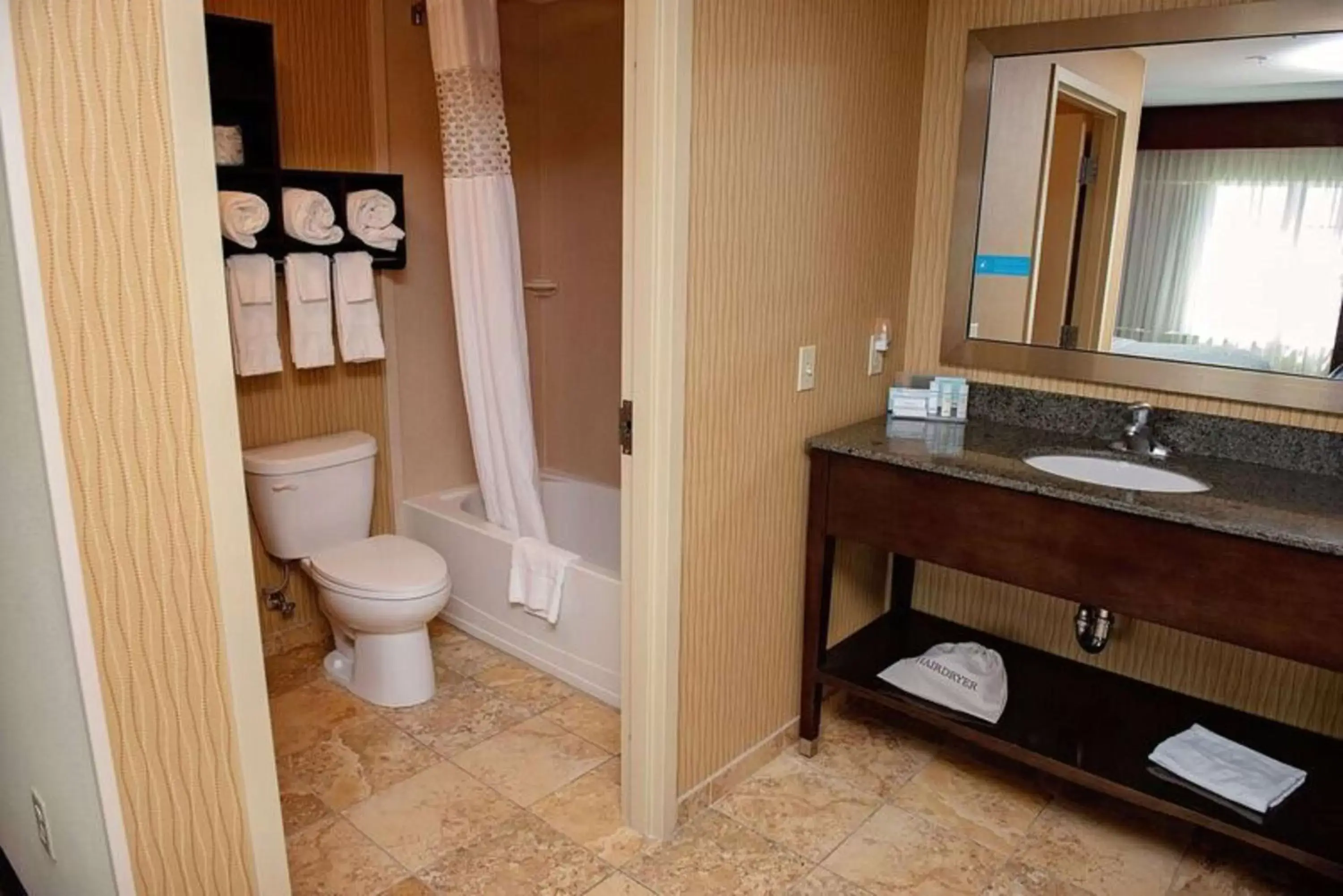 Bathroom in Hampton Inn & Suites Bradenton