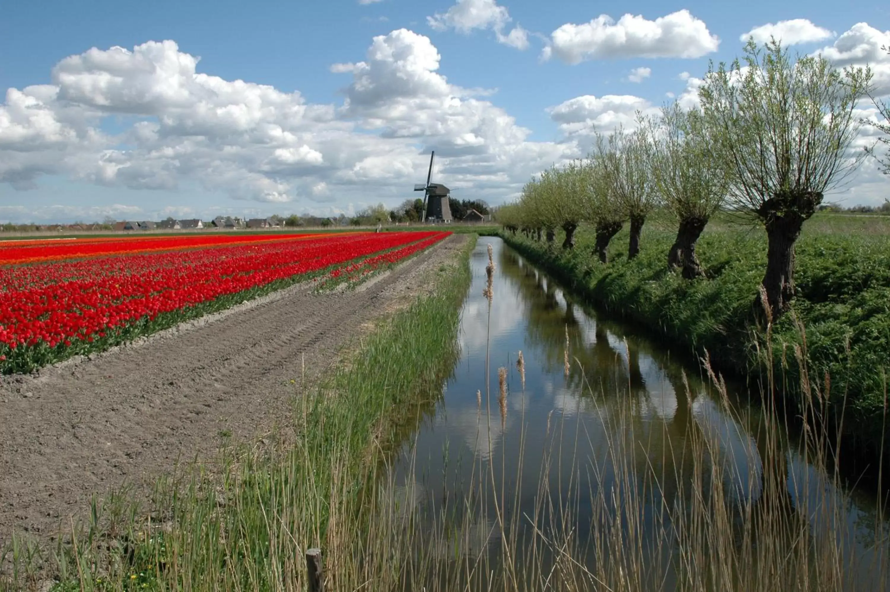 Spring in Hotelhuisjes Andijk