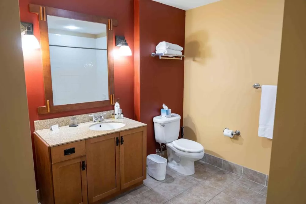 Toilet in The Appalachian at Mountain Creek