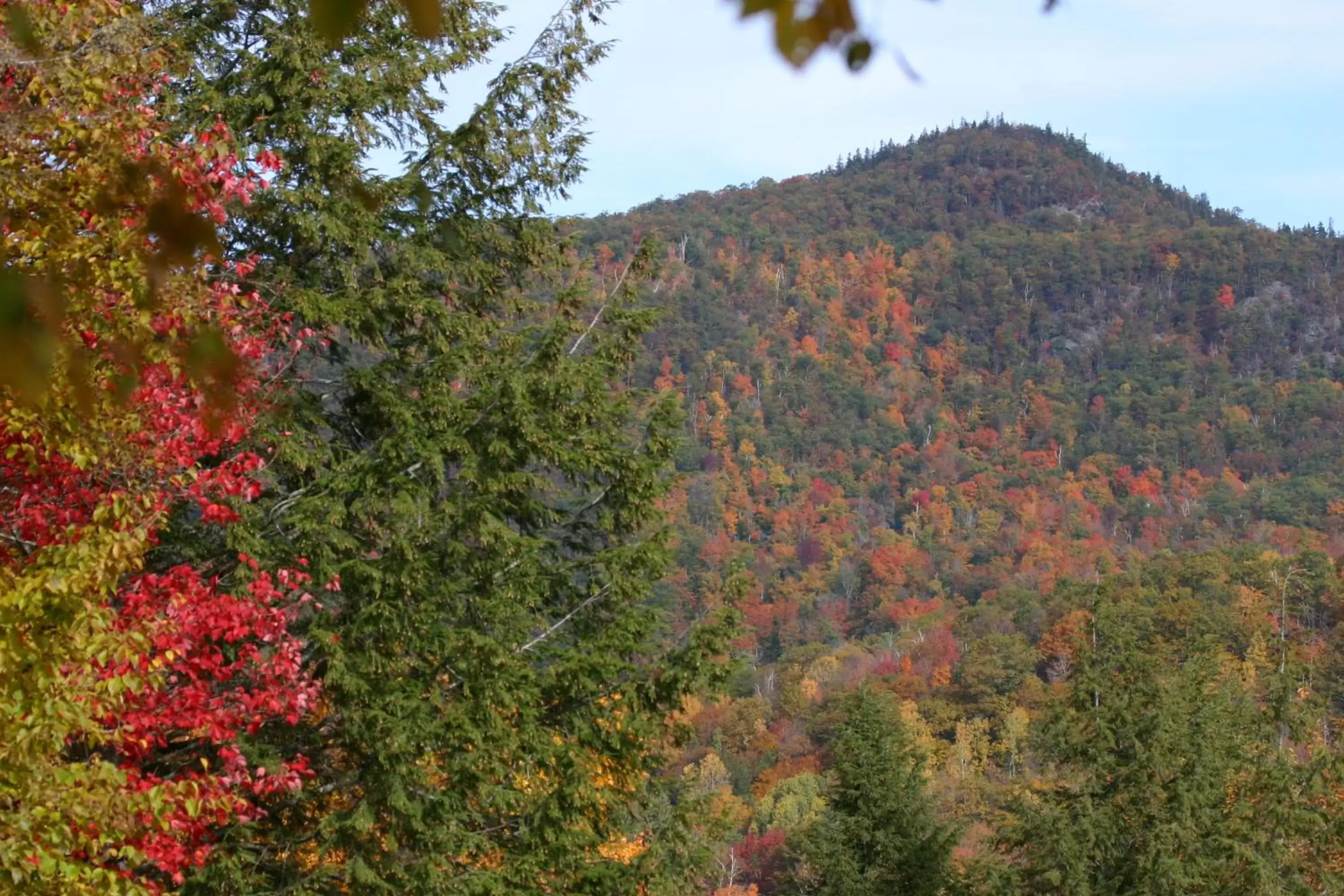 Nearby landmark, Natural Landscape in Colonial Motel